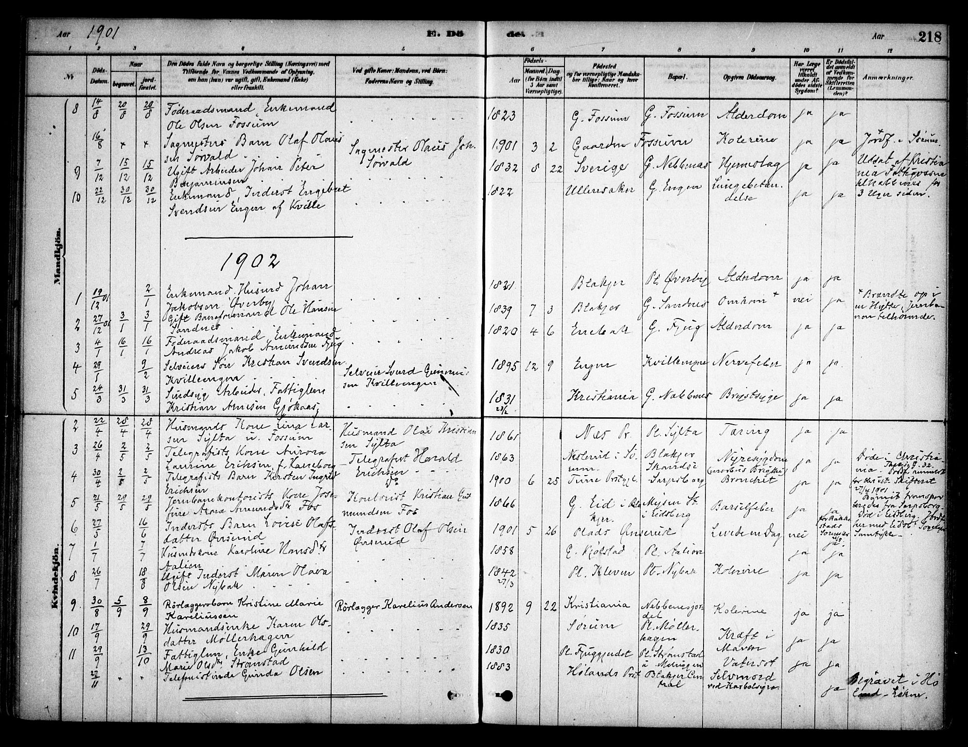 Aurskog prestekontor Kirkebøker, SAO/A-10304a/F/Fb/L0001: Parish register (official) no. II 1, 1878-1909, p. 218