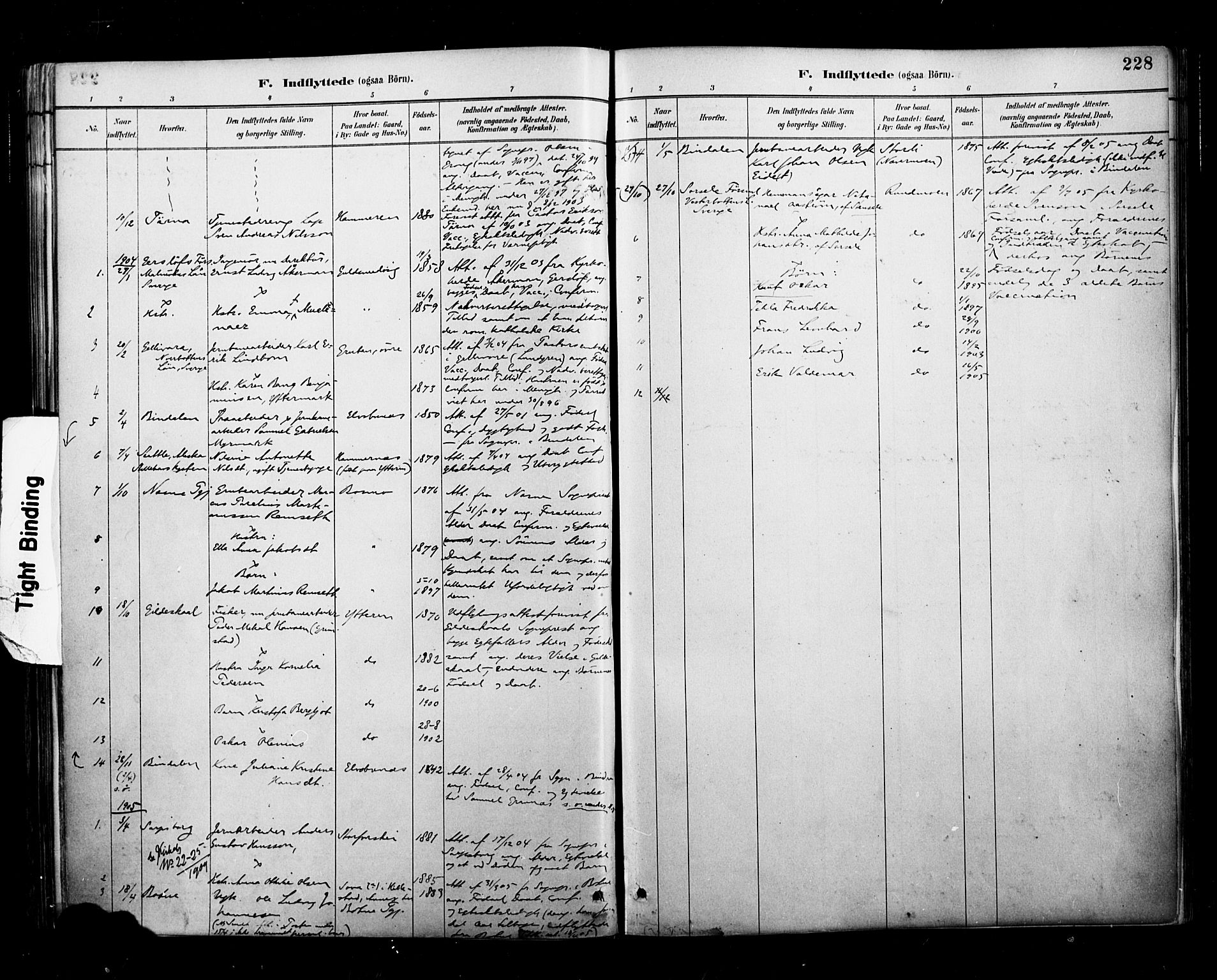 Ministerialprotokoller, klokkerbøker og fødselsregistre - Nordland, SAT/A-1459/827/L0401: Parish register (official) no. 827A13, 1887-1905, p. 228