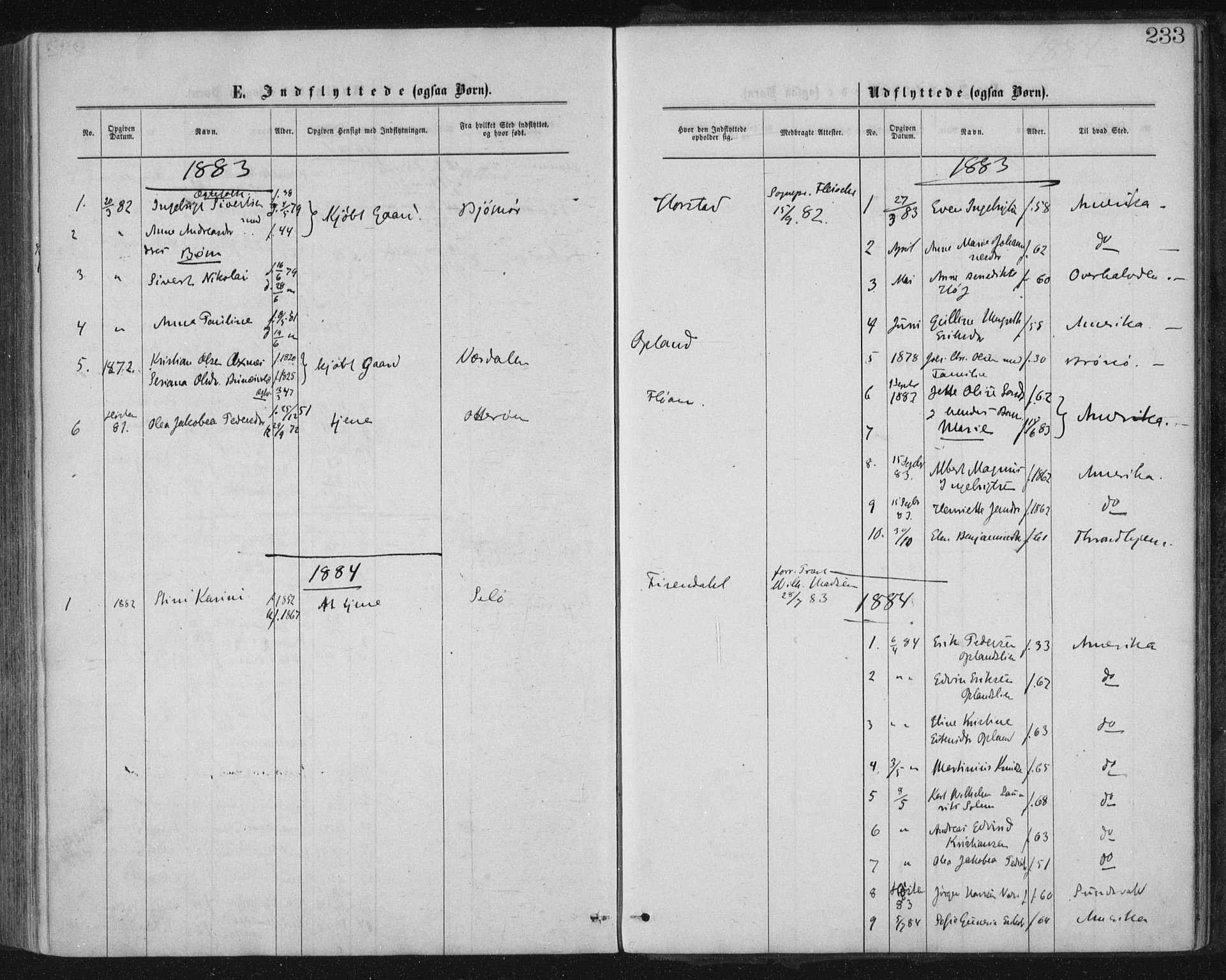 Ministerialprotokoller, klokkerbøker og fødselsregistre - Nord-Trøndelag, SAT/A-1458/771/L0596: Parish register (official) no. 771A03, 1870-1884, p. 233