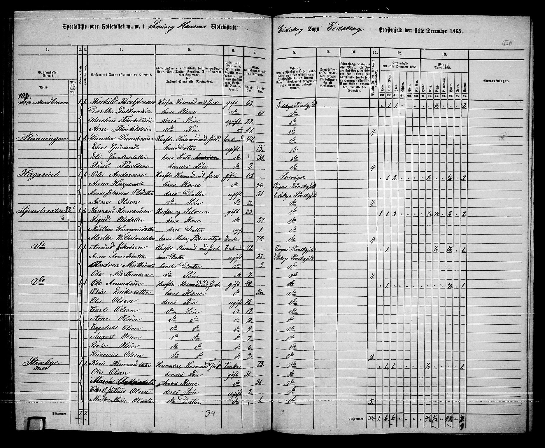 RA, 1865 census for Eidskog, 1865, p. 205