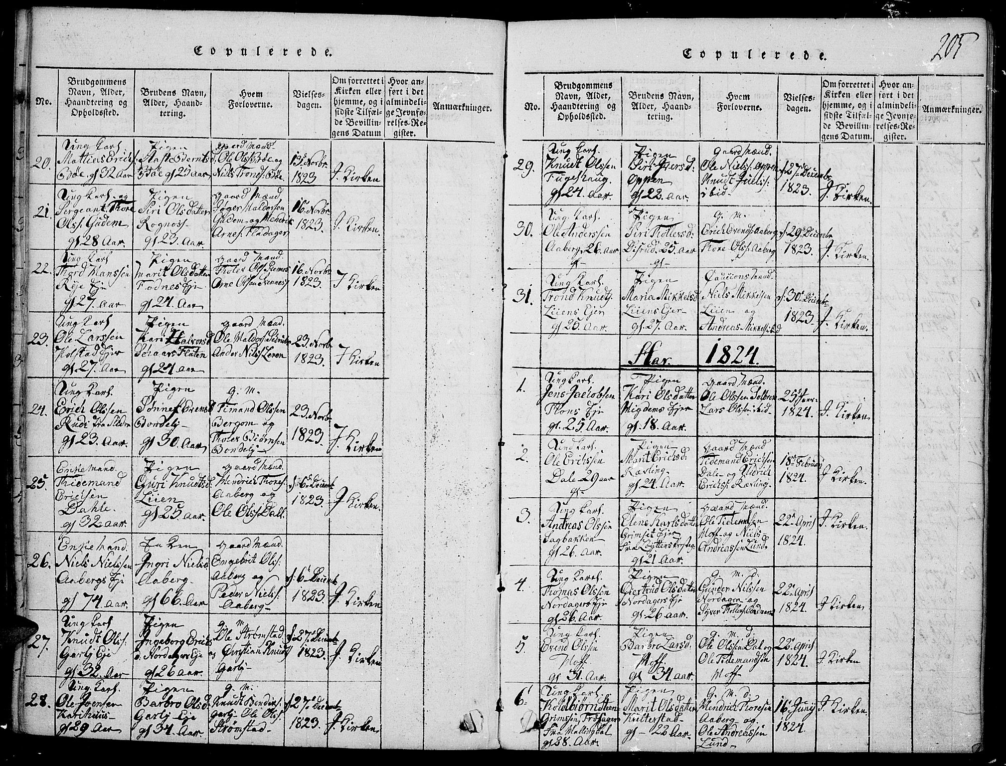 Nord-Aurdal prestekontor, SAH/PREST-132/H/Ha/Haa/L0002: Parish register (official) no. 2, 1816-1828, p. 205