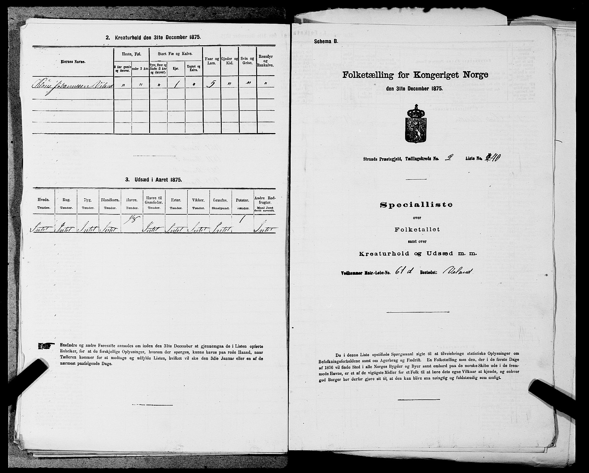 SAST, 1875 census for 1130P Strand, 1875, p. 240