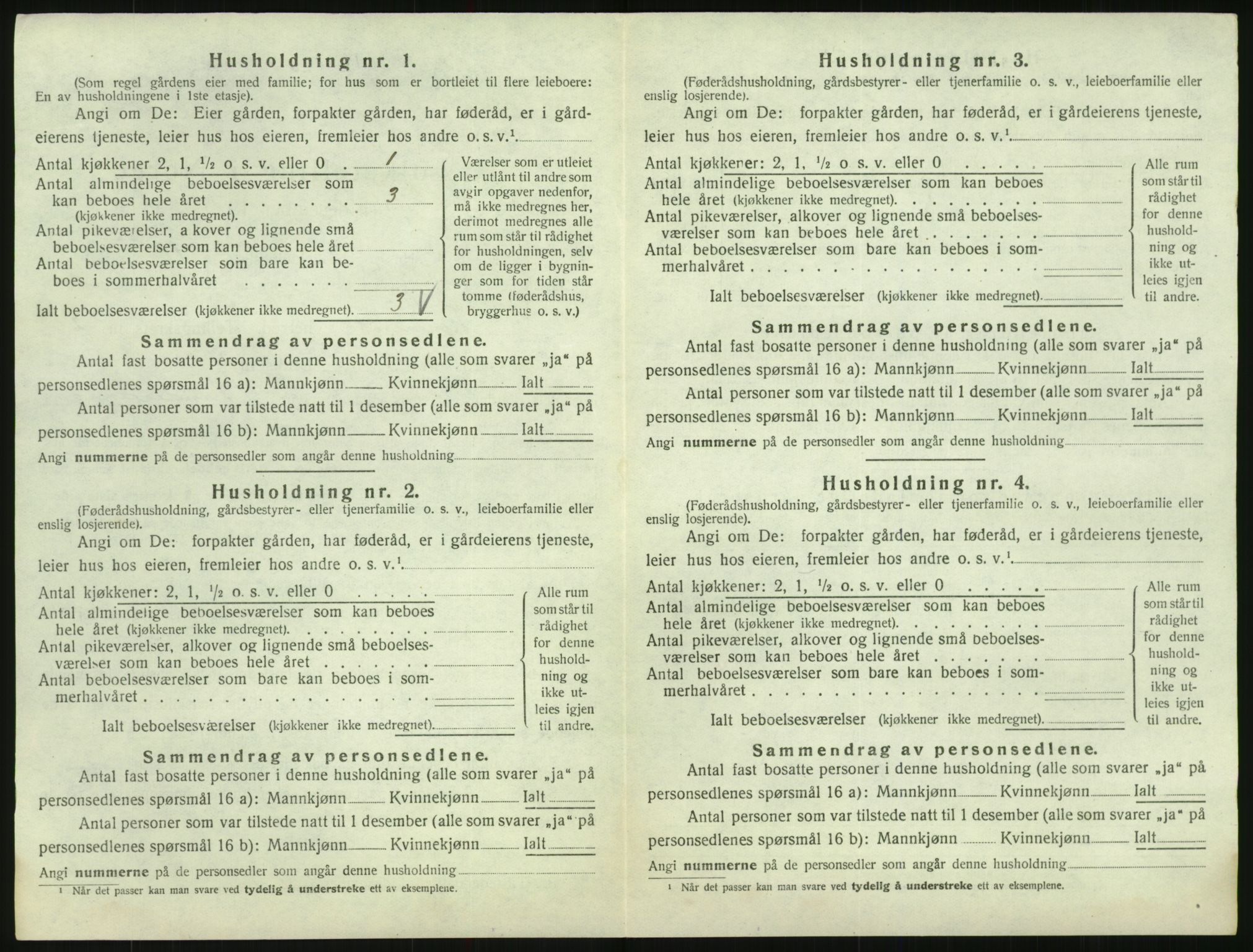 SAK, 1920 census for Hornnes, 1920, p. 110