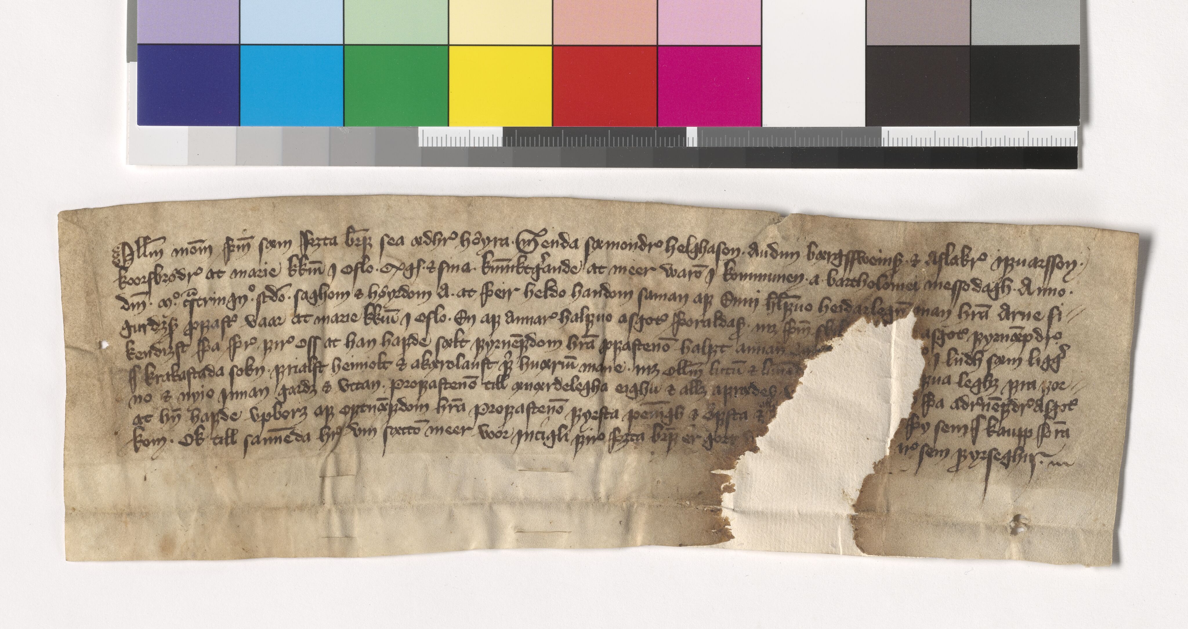 Riksarkivets diplomsamling, AV/RA-EA-5965/F05/L0202: NRA AM fasc. 82 nr. 3 - fasc. 83 nr. 4, 1401-1405, p. 5