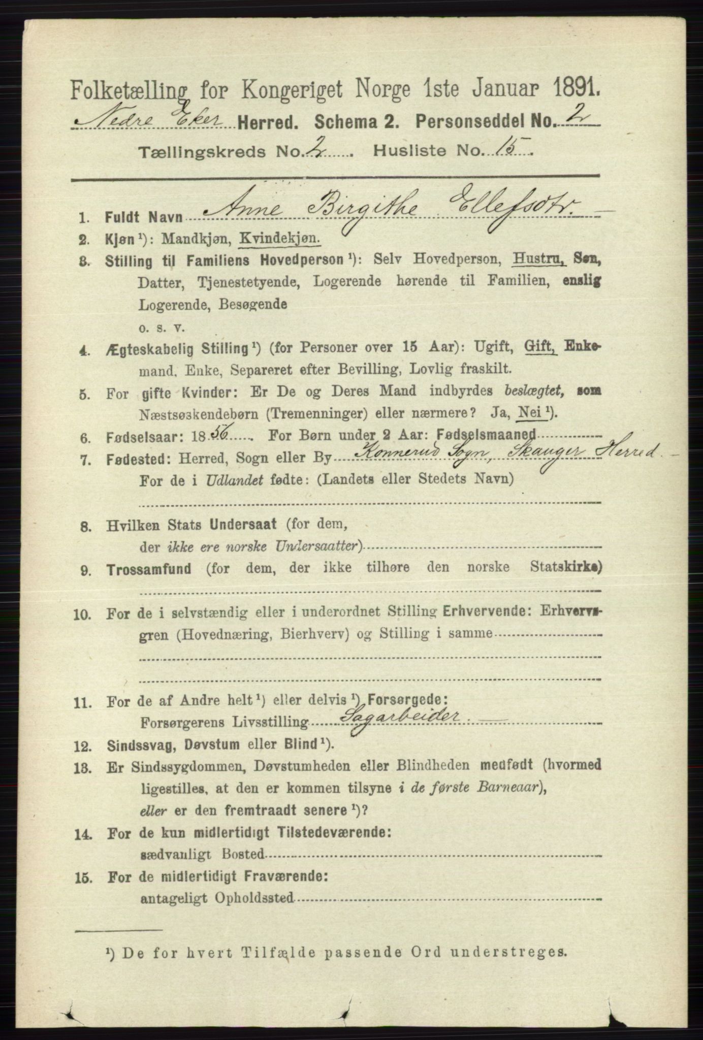 RA, 1891 census for 0625 Nedre Eiker, 1891, p. 619