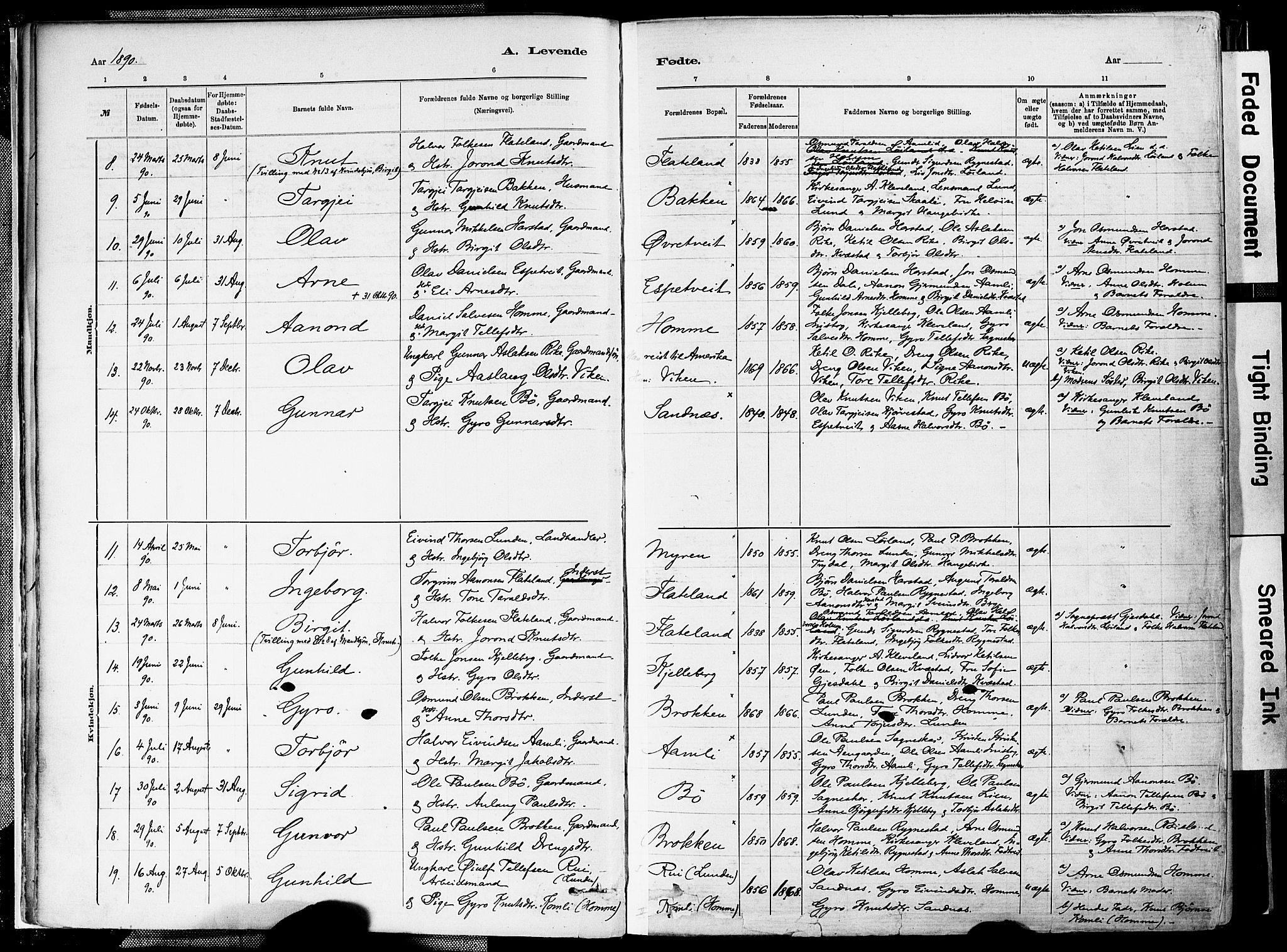 Valle sokneprestkontor, SAK/1111-0044/F/Fa/Fac/L0009: Parish register (official) no. A 9, 1882-1913, p. 19