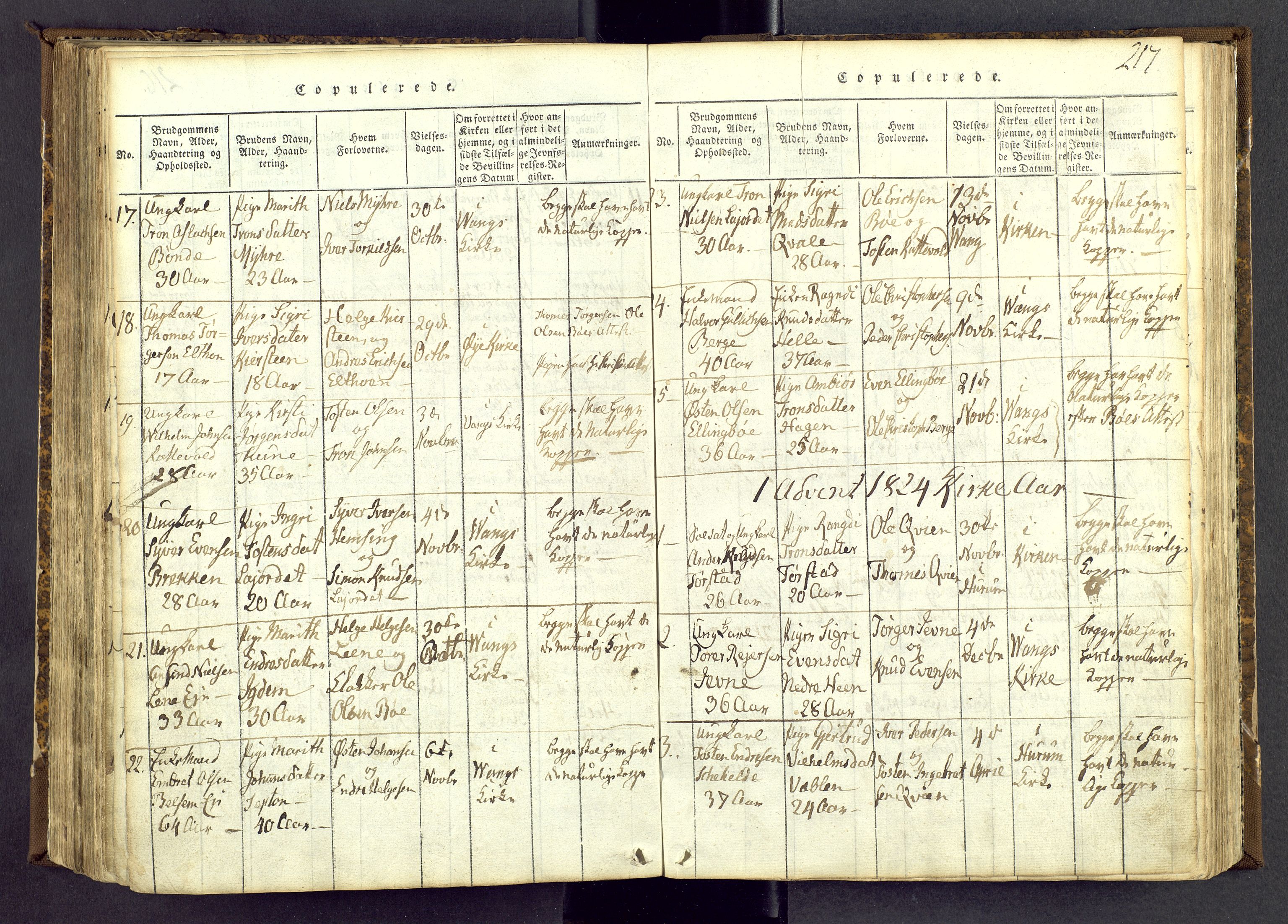 Vang prestekontor, Valdres, SAH/PREST-140/H/Ha/L0004: Parish register (official) no. 4, 1814-1831, p. 217