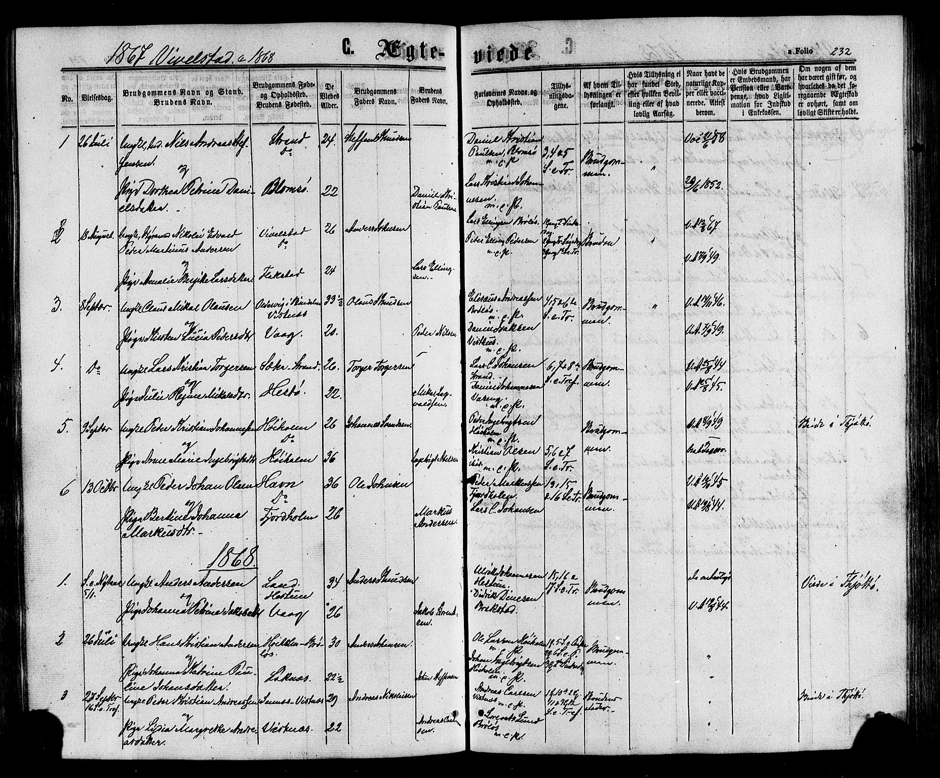 Ministerialprotokoller, klokkerbøker og fødselsregistre - Nordland, SAT/A-1459/817/L0262: Parish register (official) no. 817A03 /2, 1867-1877, p. 232