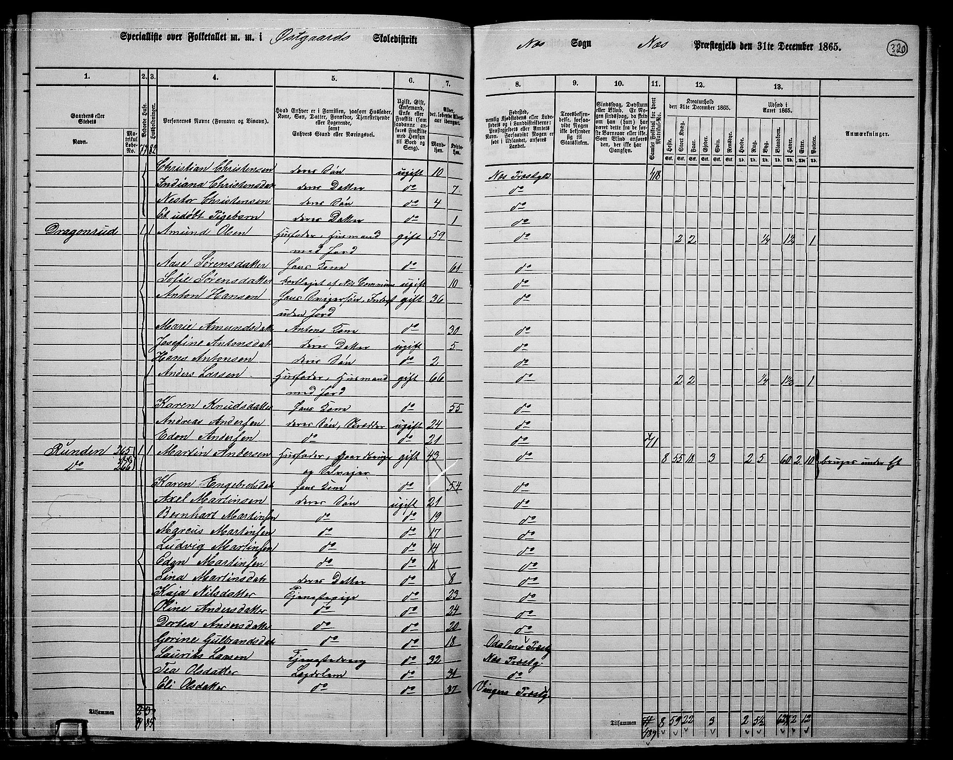 RA, 1865 census for Nes, 1865, p. 295