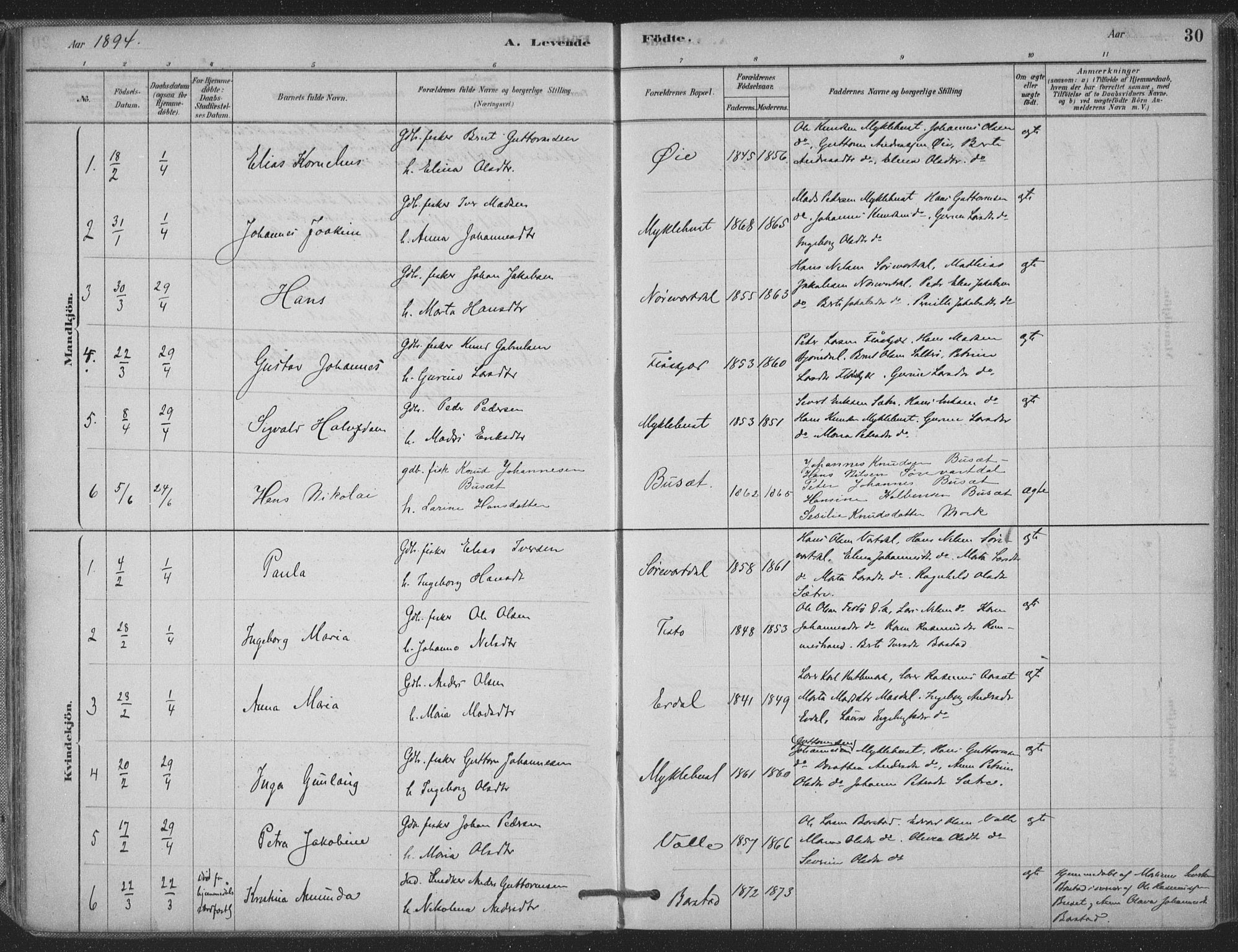 Ministerialprotokoller, klokkerbøker og fødselsregistre - Møre og Romsdal, AV/SAT-A-1454/514/L0199: Parish register (official) no. 514A01, 1878-1912, p. 30