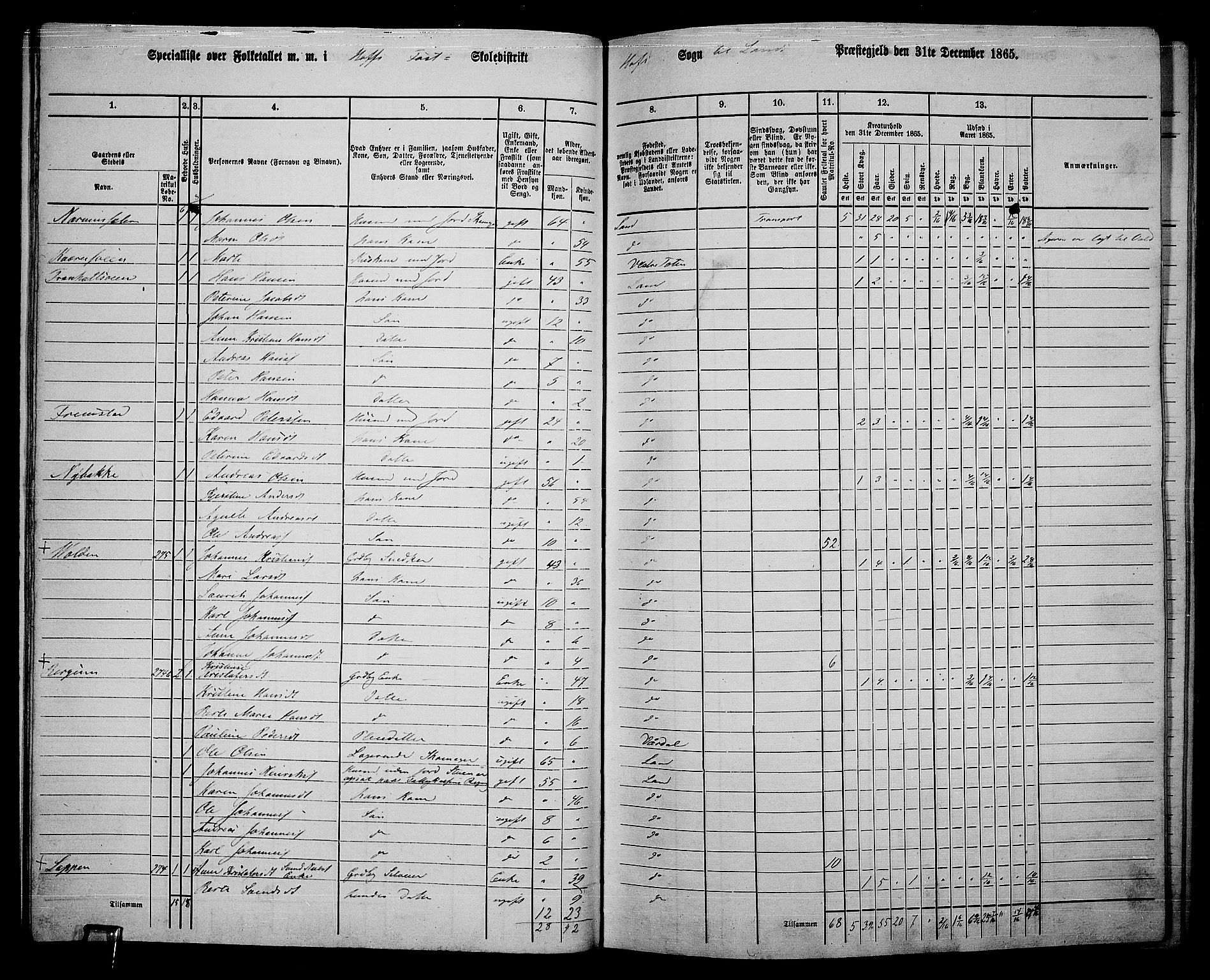 RA, 1865 census for Land, 1865, p. 305