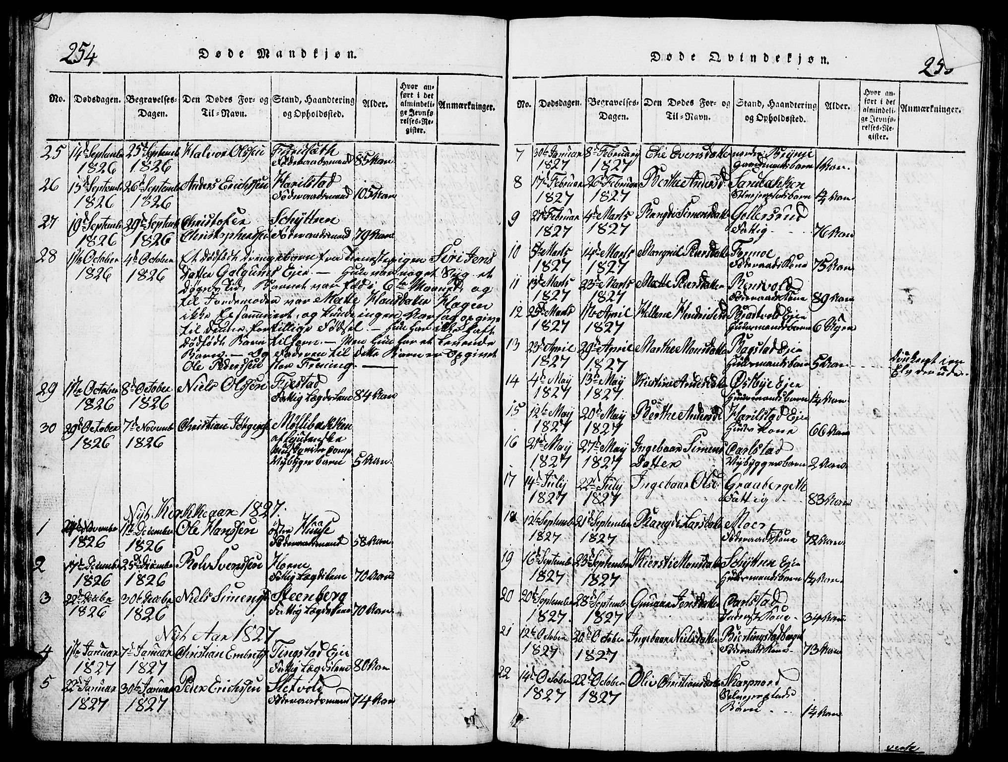 Romedal prestekontor, SAH/PREST-004/L/L0005: Parish register (copy) no. 5, 1814-1829, p. 254-255
