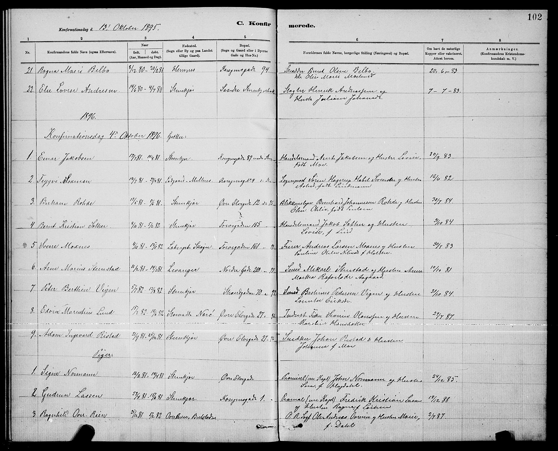 Ministerialprotokoller, klokkerbøker og fødselsregistre - Nord-Trøndelag, SAT/A-1458/739/L0374: Parish register (copy) no. 739C02, 1883-1898, p. 102