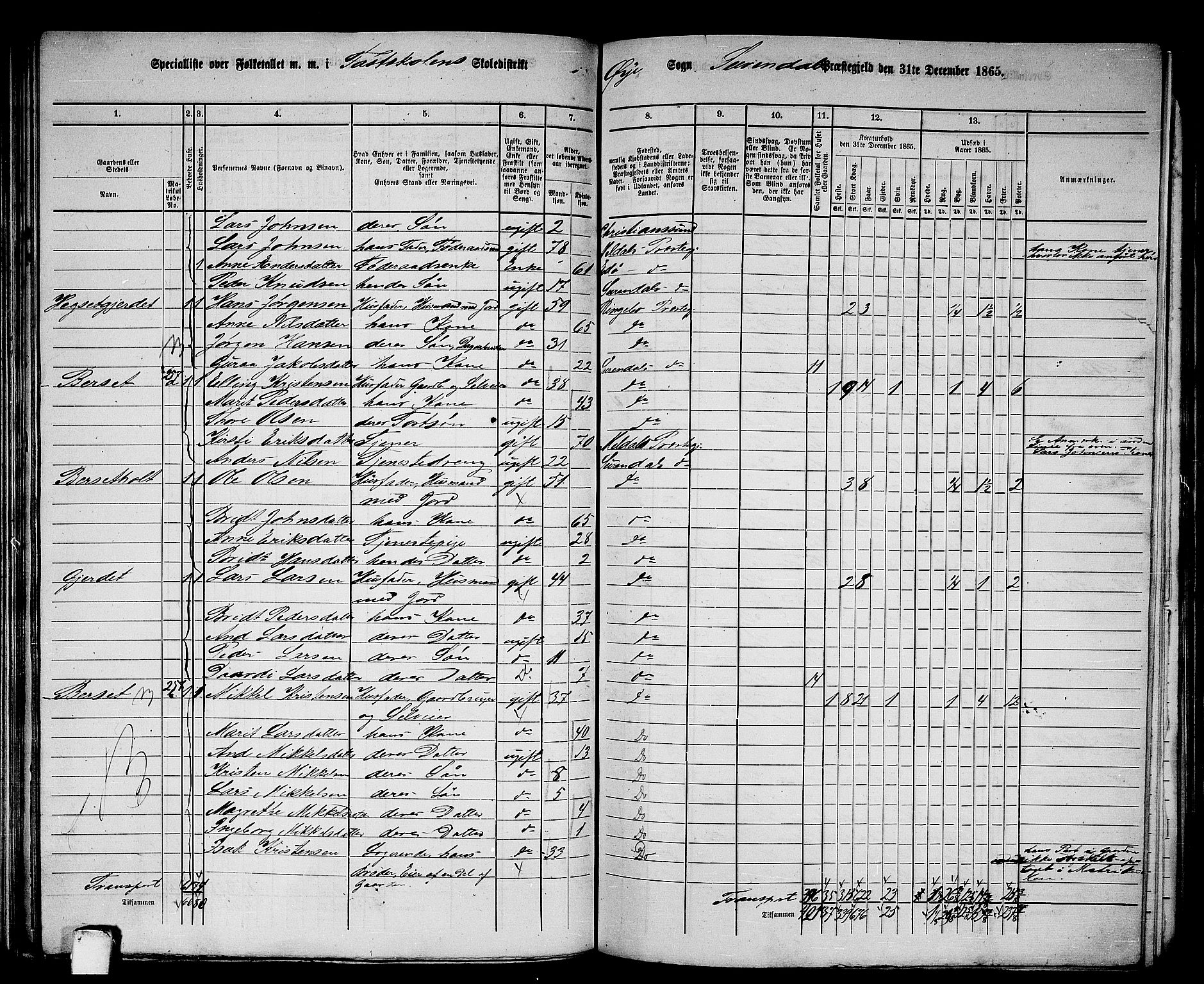 RA, 1865 census for Surnadal, 1865, p. 125