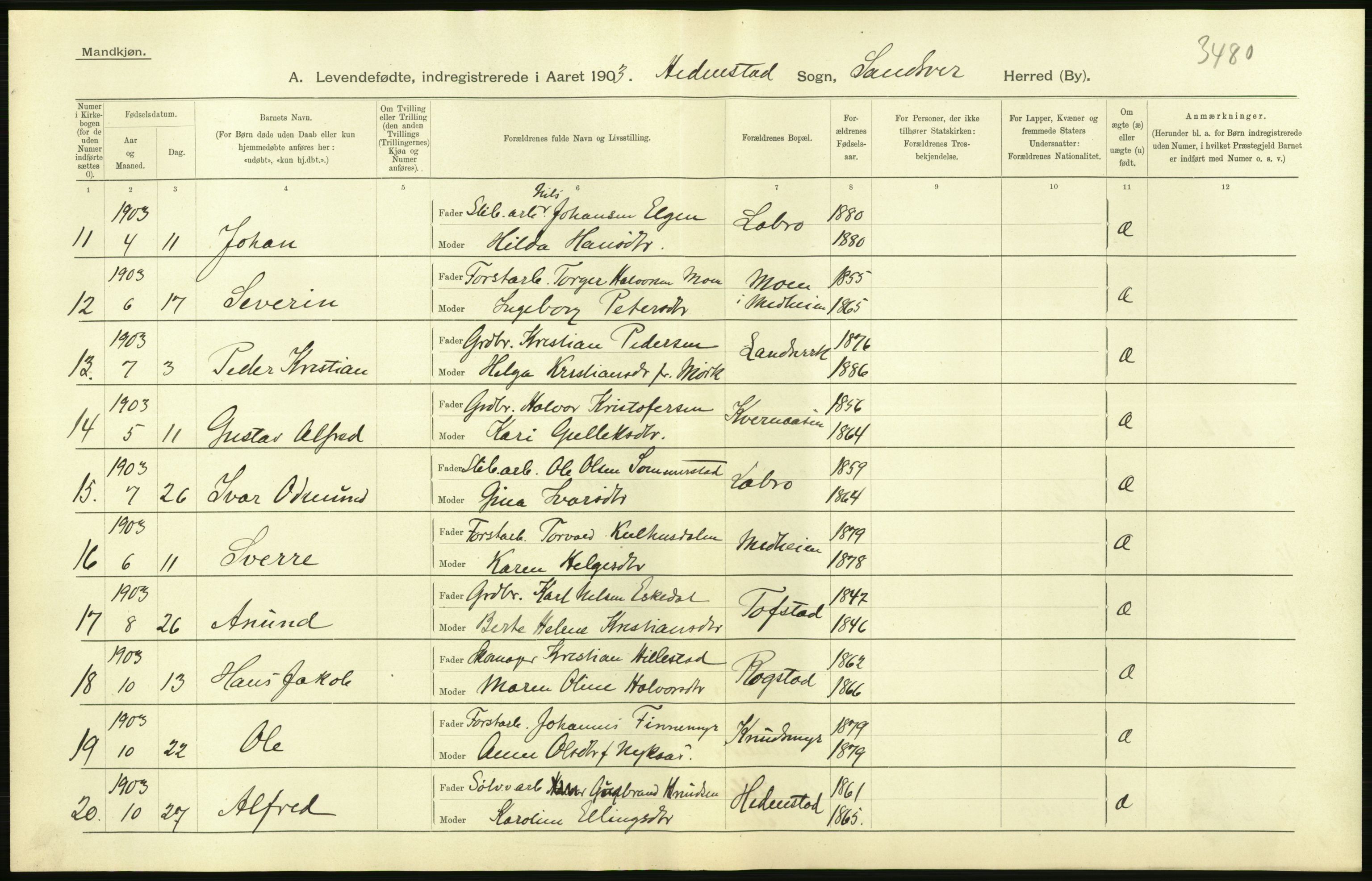 Statistisk sentralbyrå, Sosiodemografiske emner, Befolkning, AV/RA-S-2228/D/Df/Dfa/Dfaa/L0007: Buskeruds amt: Fødte, gifte, døde, 1903, p. 44