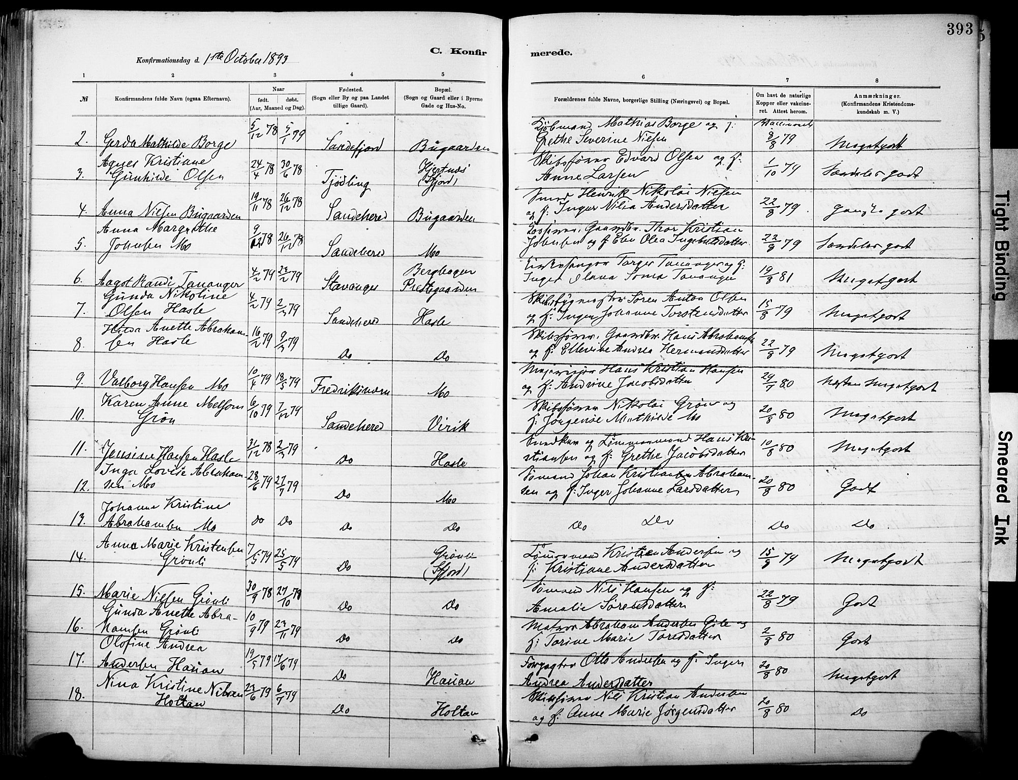 Sandar kirkebøker, AV/SAKO-A-243/F/Fa/L0012: Parish register (official) no. 12, 1883-1895, p. 393