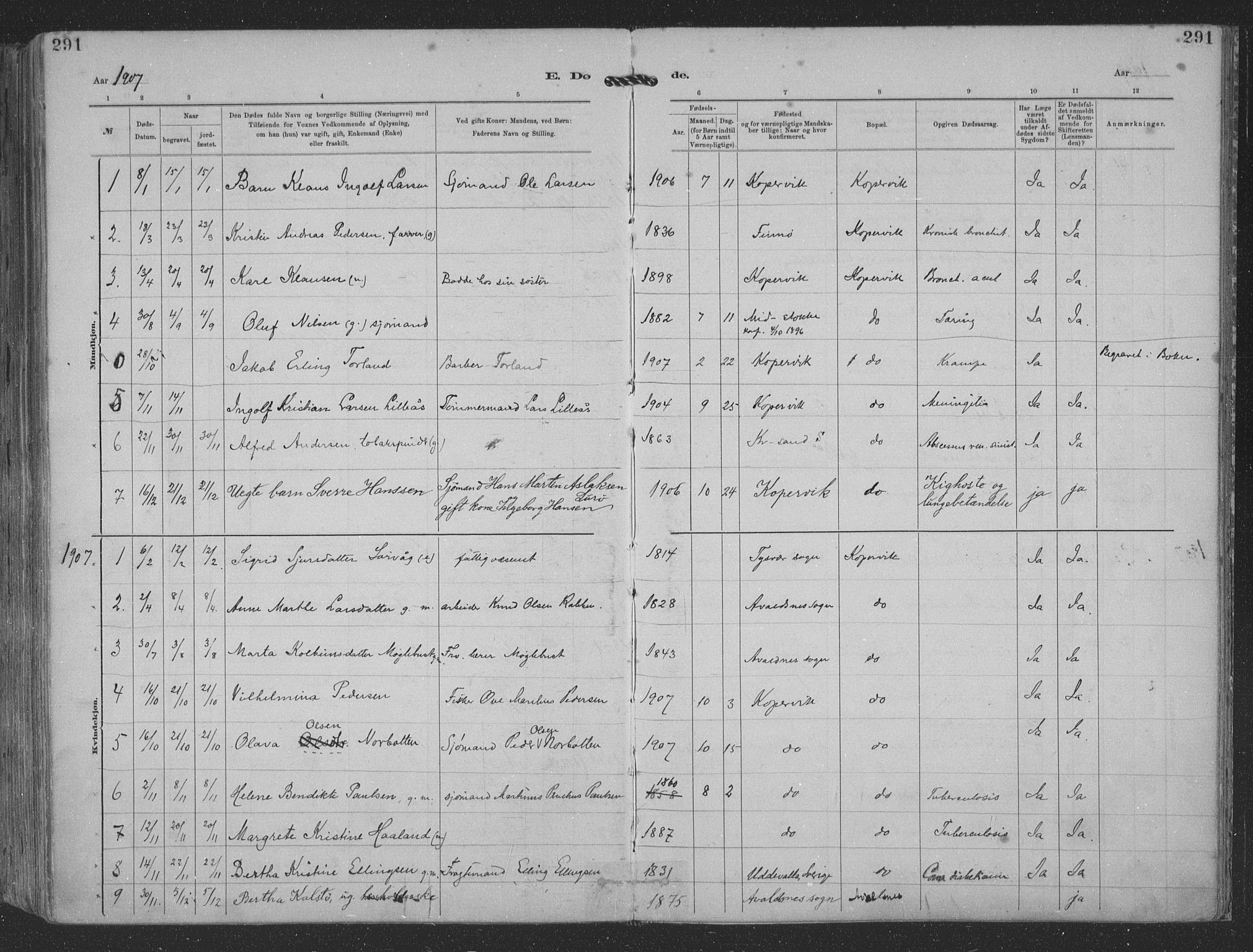 Kopervik sokneprestkontor, SAST/A-101850/H/Ha/Haa/L0001: Parish register (official) no. A 1, 1880-1919, p. 291