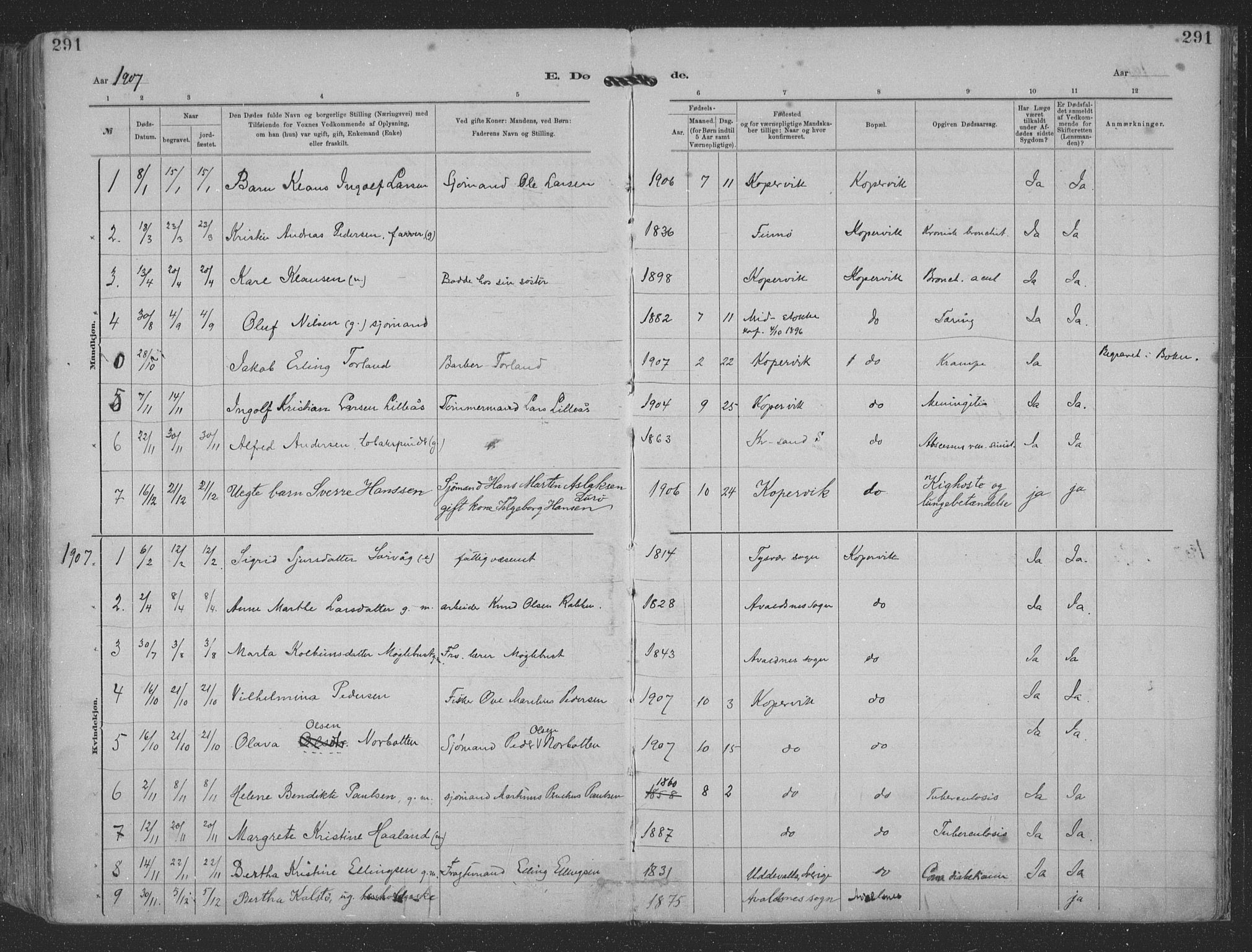 Kopervik sokneprestkontor, AV/SAST-A-101850/H/Ha/Haa/L0001: Parish register (official) no. A 1, 1880-1919, p. 291