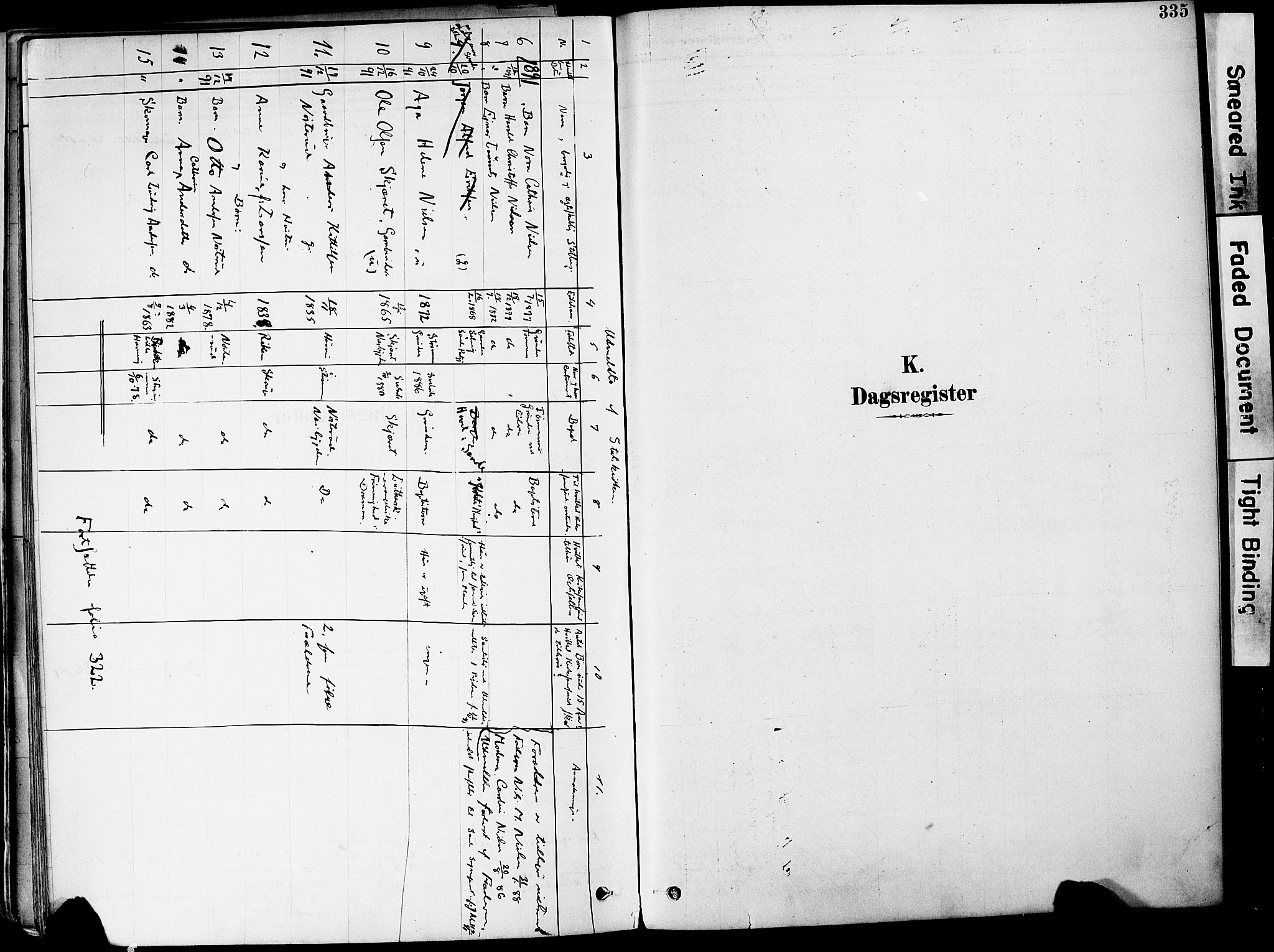 Strømm kirkebøker, AV/SAKO-A-322/F/Fa/L0004: Parish register (official) no. I 4, 1878-1899, p. 335