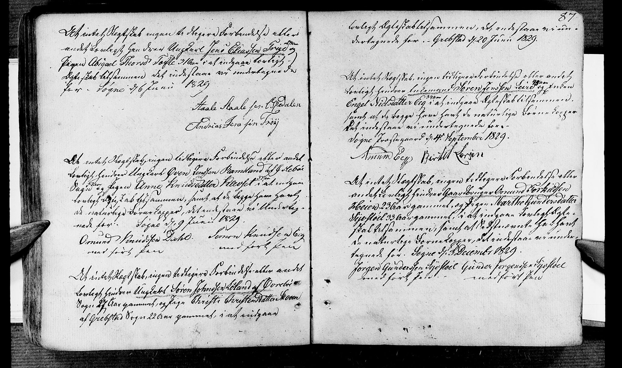 Søgne sokneprestkontor, SAK/1111-0037/F/Fa/Fab/L0007: Parish register (official) no. A 7, 1791-1851, p. 87