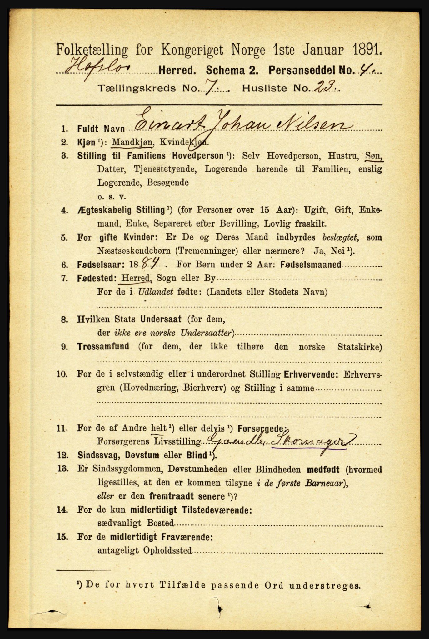 RA, 1891 census for 1425 Hafslo, 1891, p. 2866