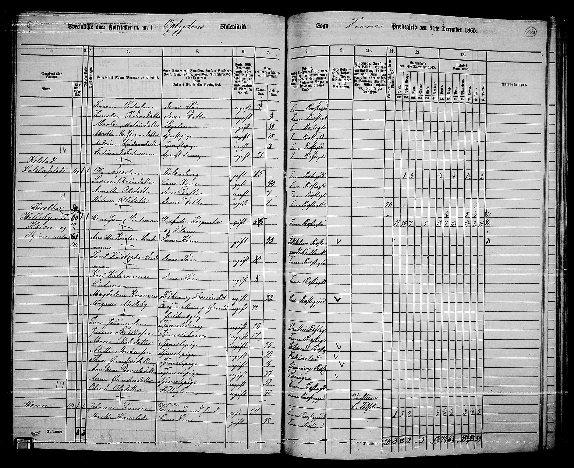 RA, 1865 census for Tune, 1865, p. 222