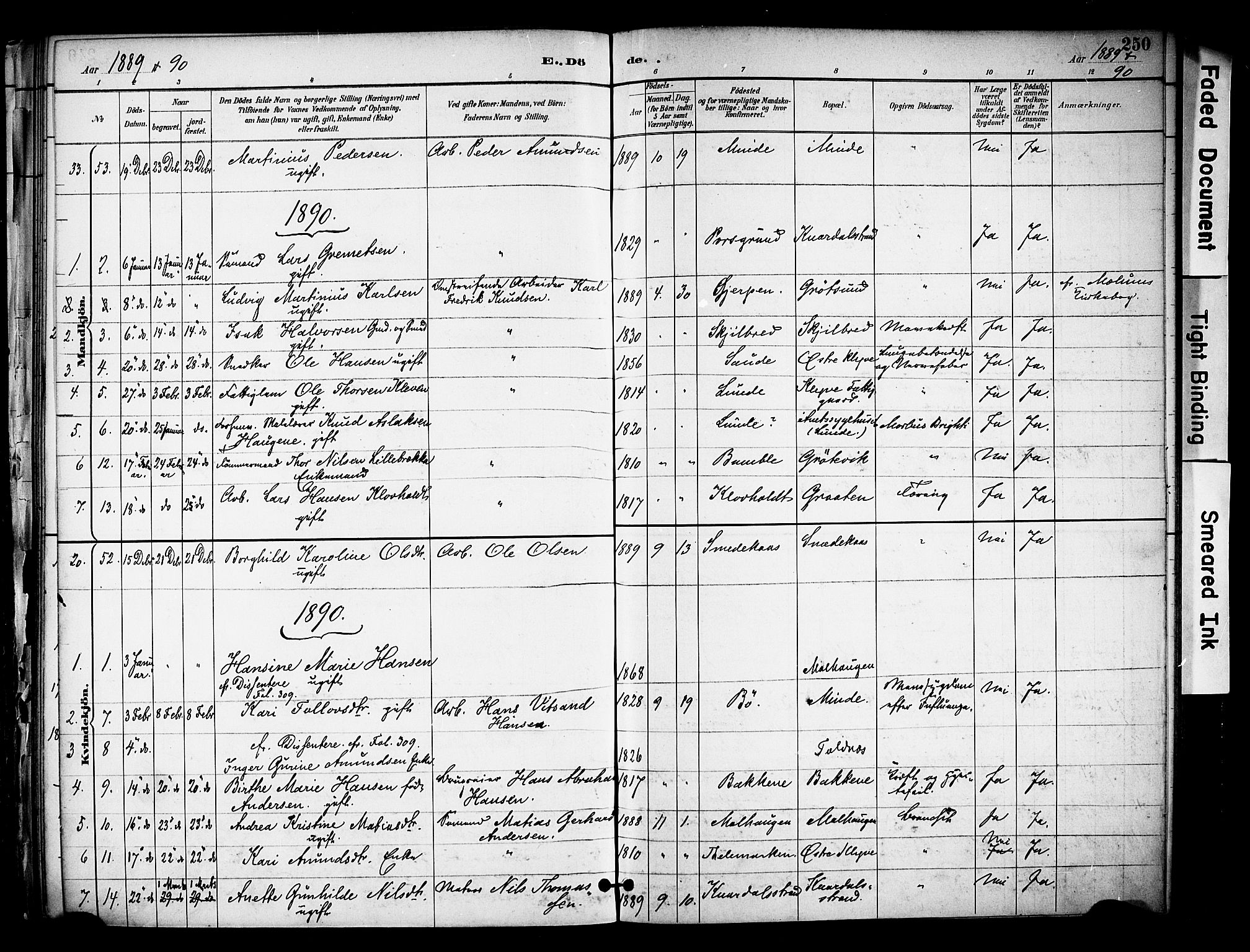 Solum kirkebøker, AV/SAKO-A-306/F/Fa/L0010: Parish register (official) no. I 10, 1888-1898, p. 250
