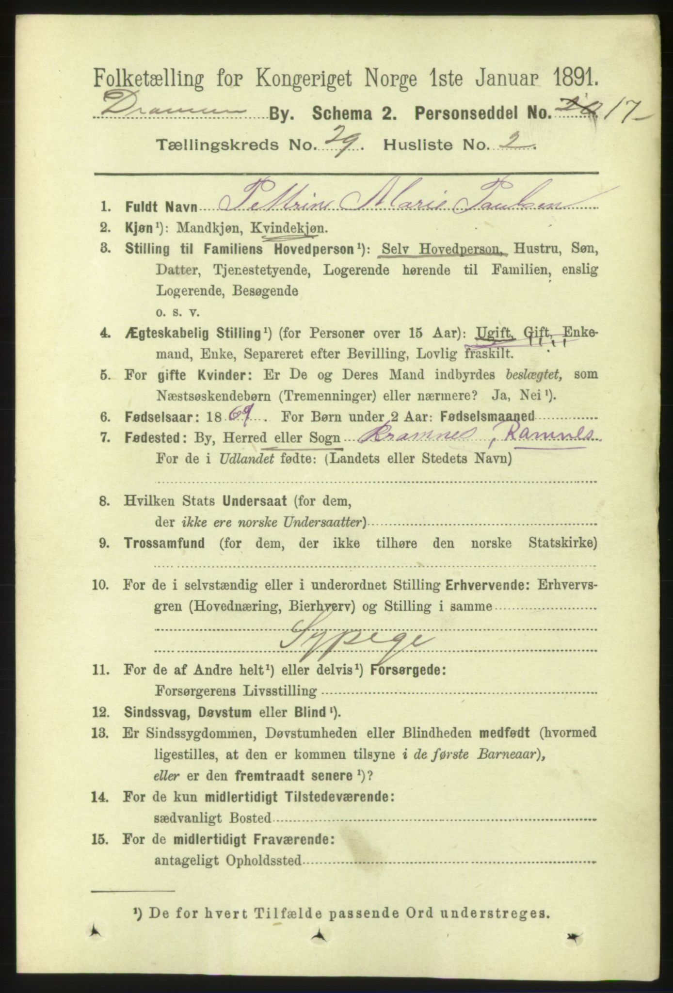 RA, 1891 census for 0602 Drammen, 1891, p. 17421