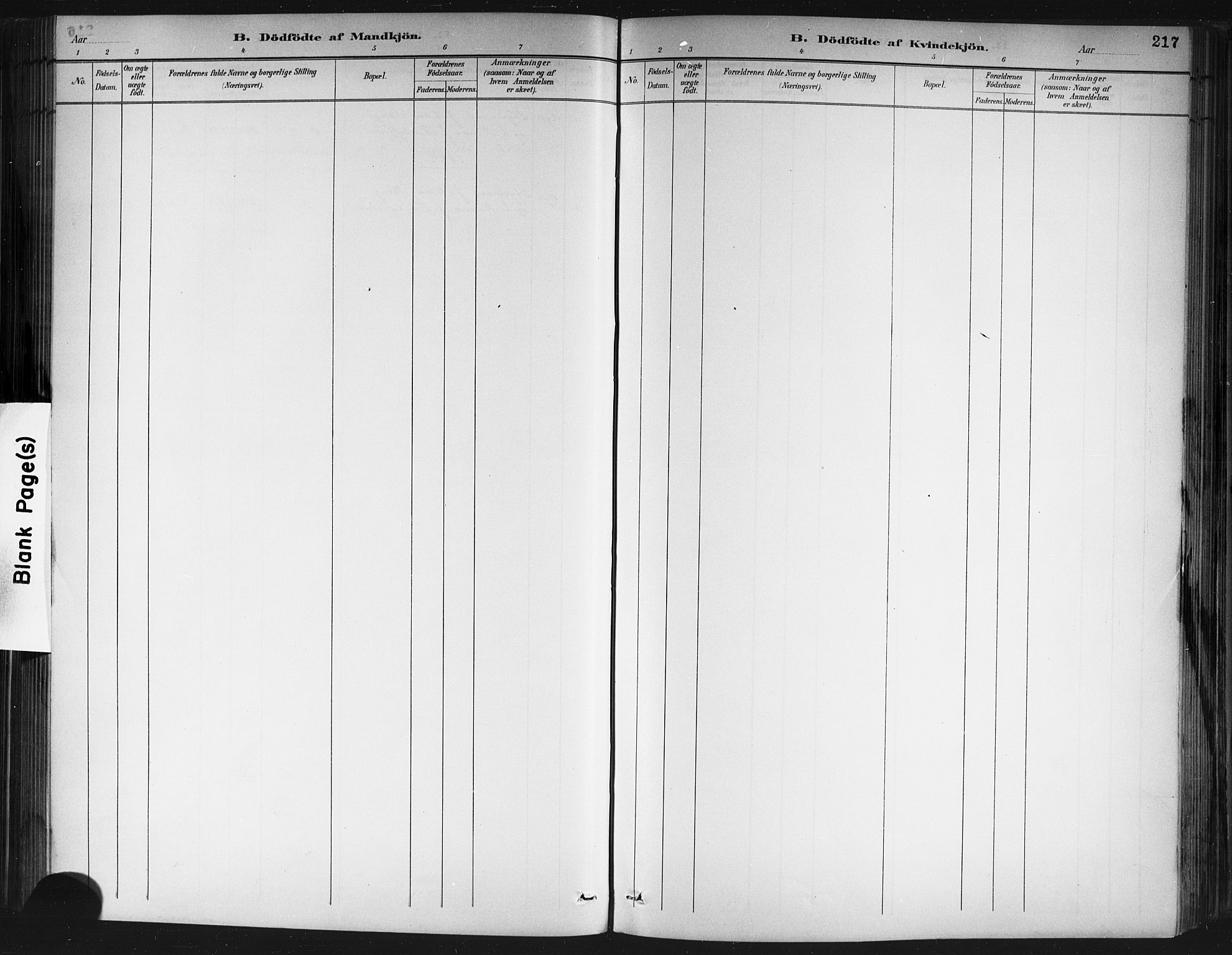 Porsgrunn kirkebøker , AV/SAKO-A-104/G/Gb/L0005: Parish register (copy) no. II 5, 1883-1915, p. 217