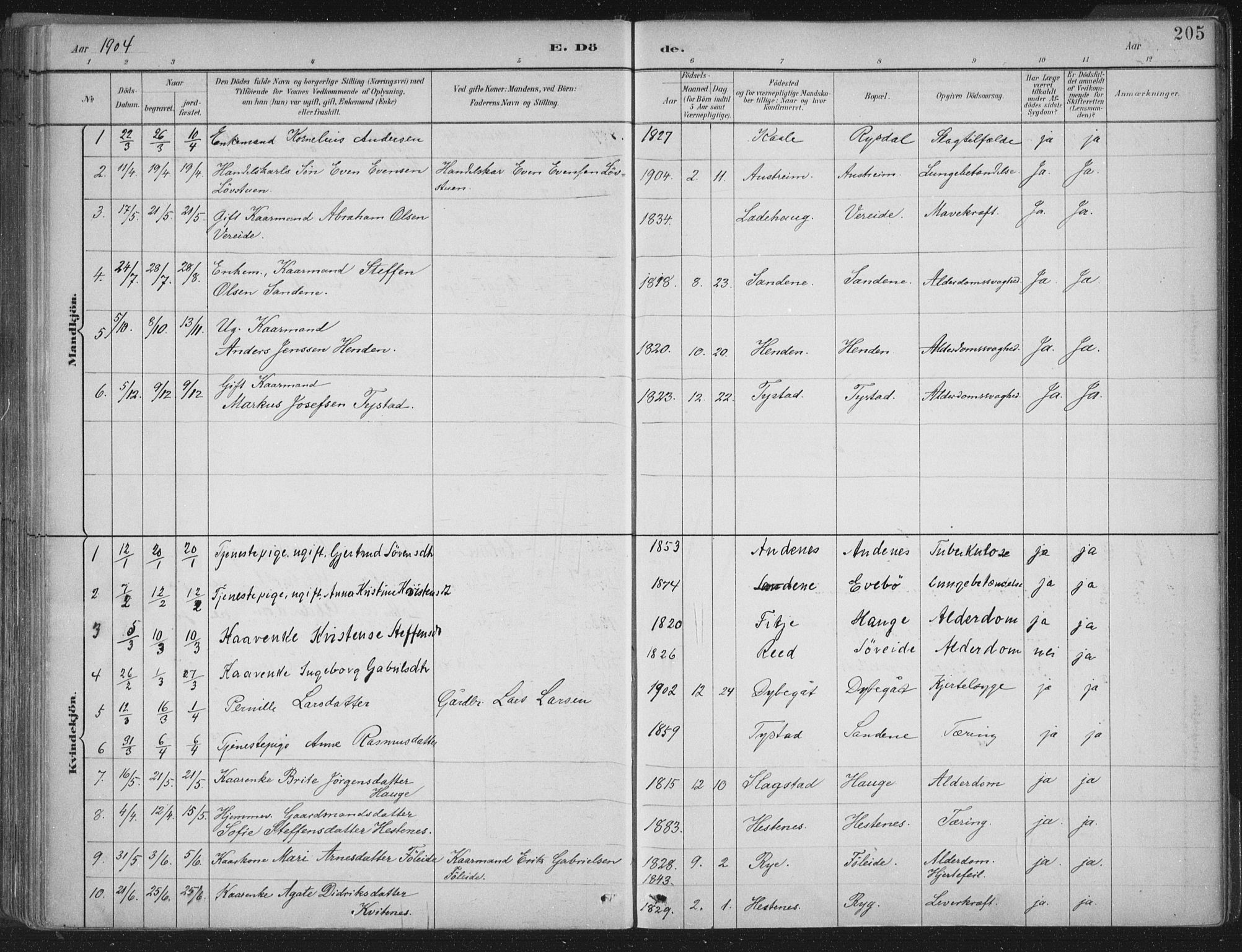 Gloppen sokneprestembete, AV/SAB-A-80101/H/Haa/Haab/L0001: Parish register (official) no. B  1, 1885-1905, p. 205