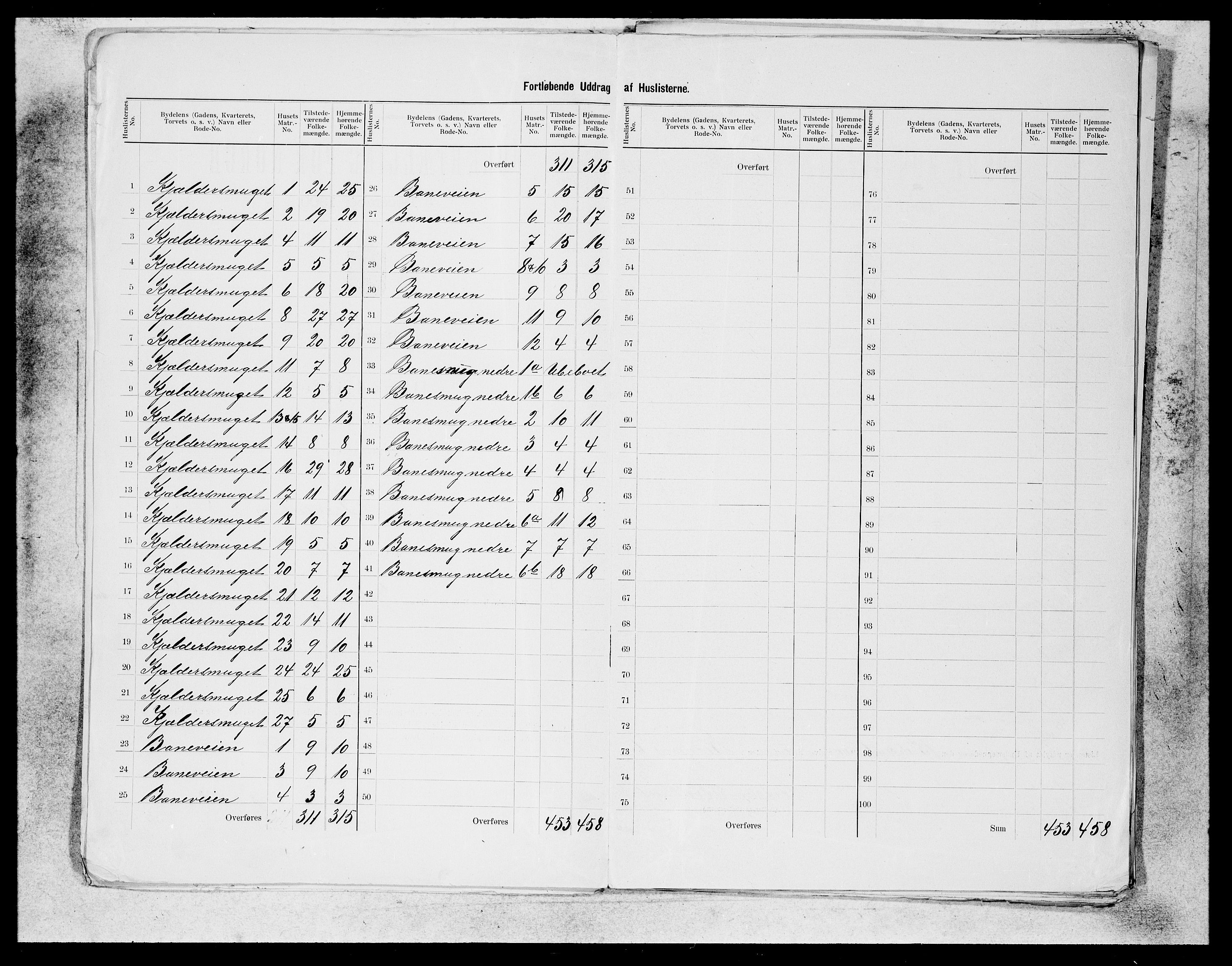 SAB, 1900 census for Bergen, 1900, p. 233