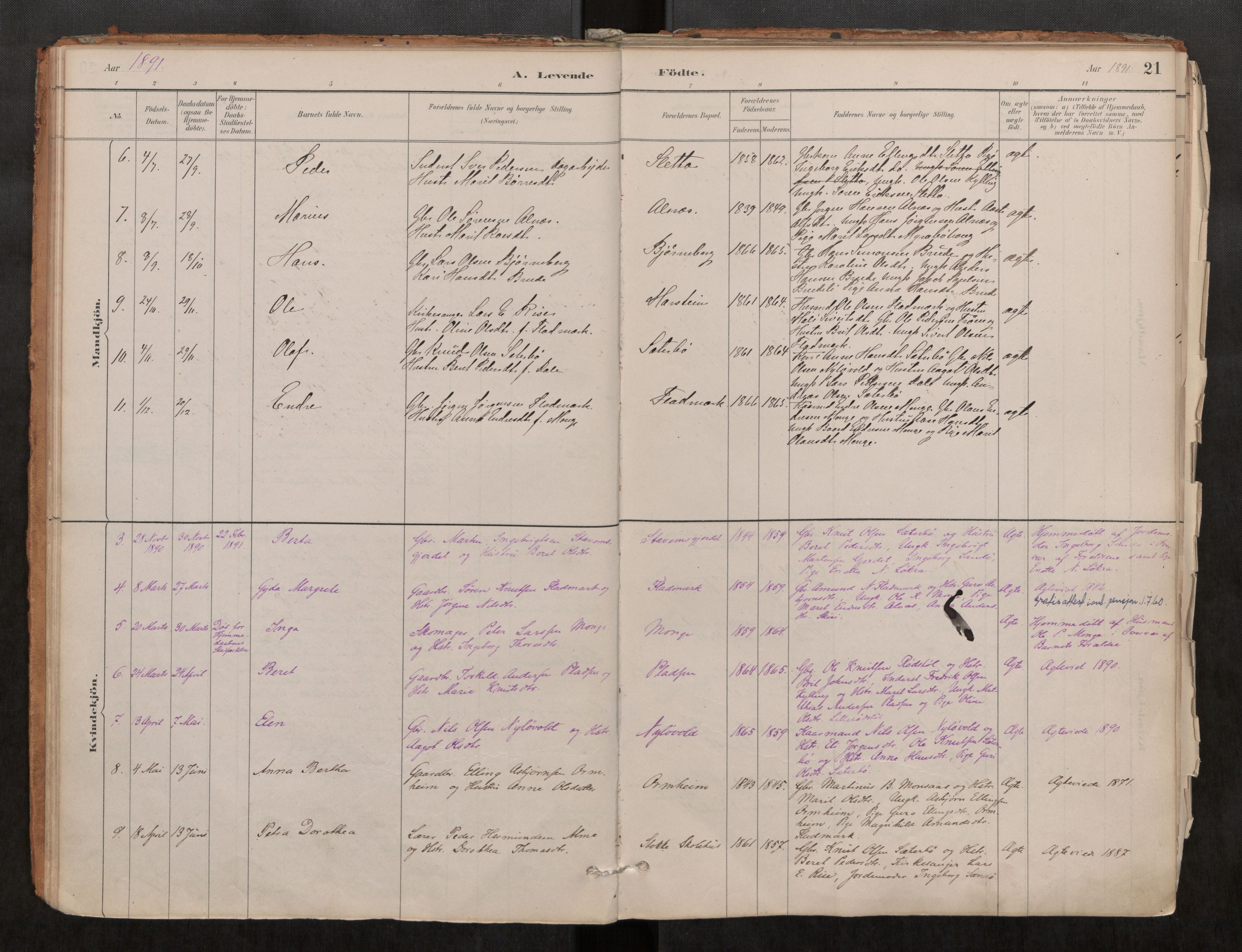 Ministerialprotokoller, klokkerbøker og fødselsregistre - Møre og Romsdal, AV/SAT-A-1454/546/L0599: Parish register (official) no. 546A03, 1882-1920, p. 21