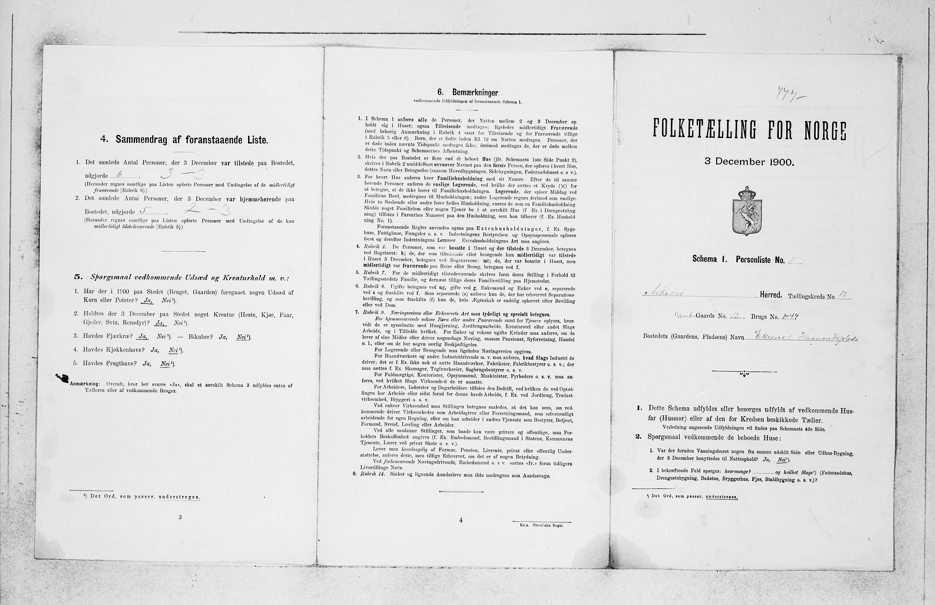 SAB, 1900 census for Askøy, 1900, p. 1595