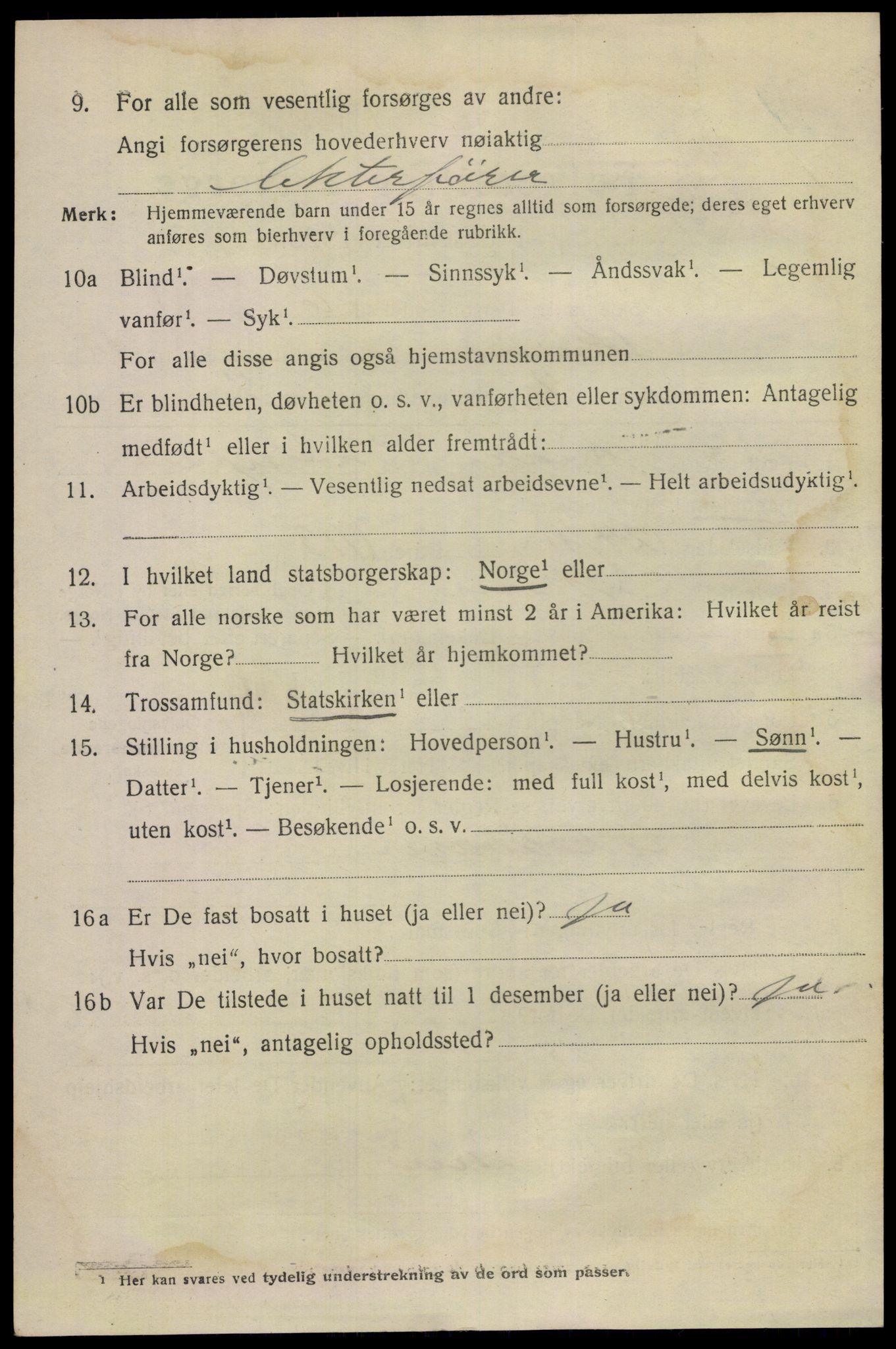 SAKO, 1920 census for Skien, 1920, p. 32225