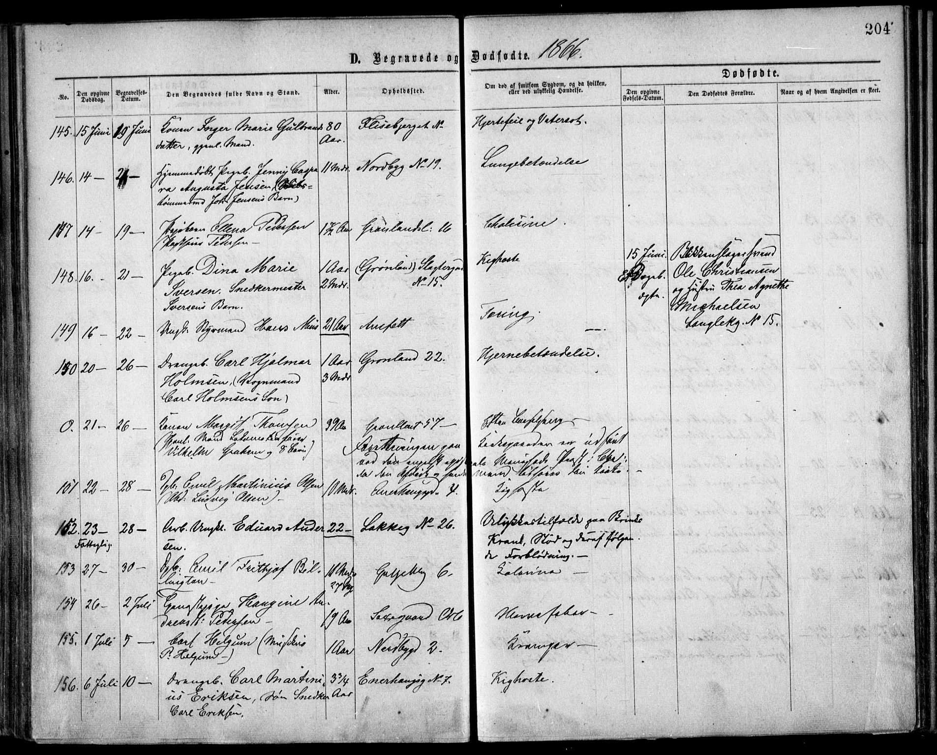 Grønland prestekontor Kirkebøker, SAO/A-10848/F/Fa/L0003: Parish register (official) no. 3, 1862-1868, p. 204