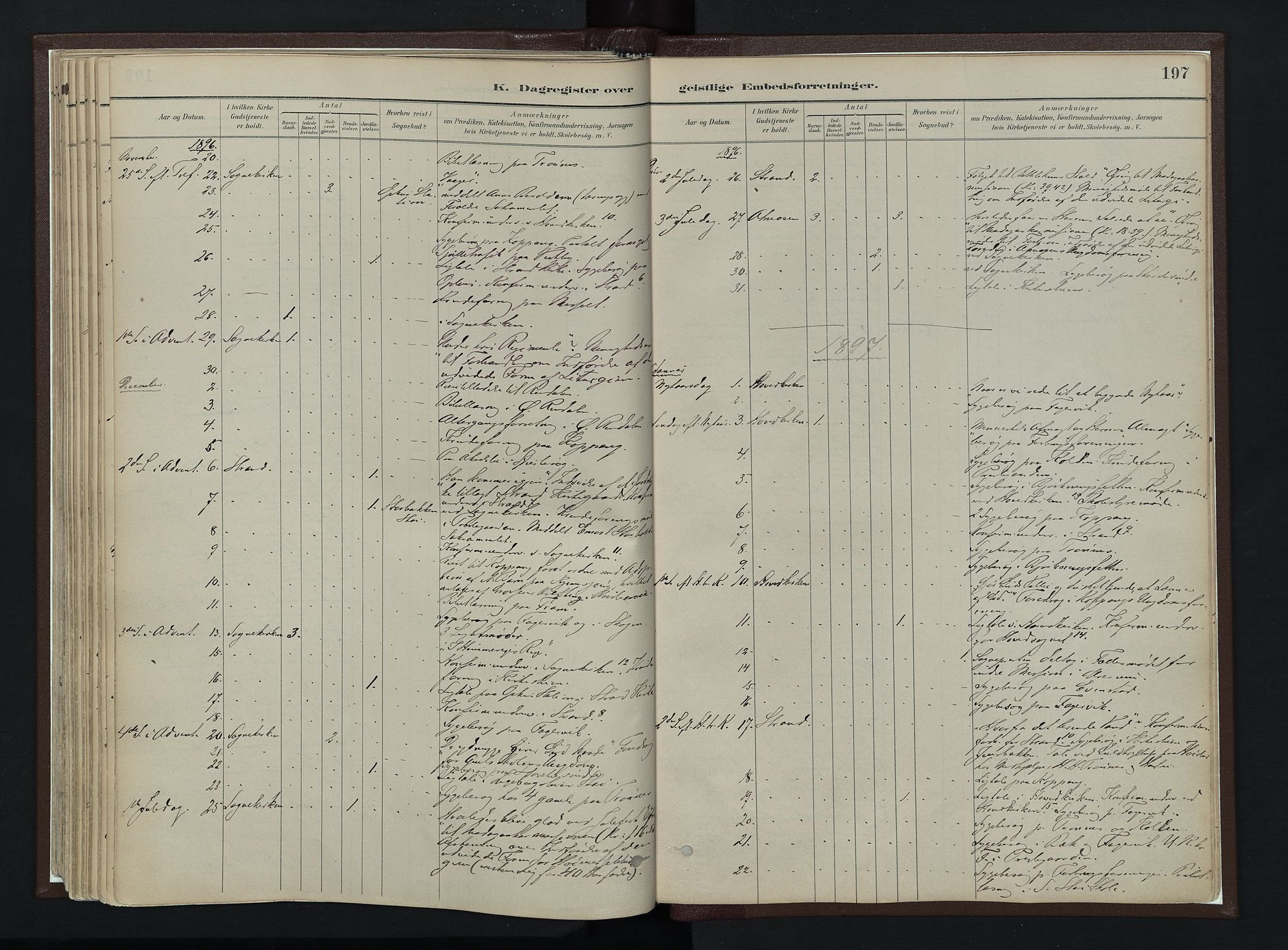 Stor-Elvdal prestekontor, AV/SAH-PREST-052/H/Ha/Haa/L0003: Parish register (official) no. 3, 1882-1901, p. 197