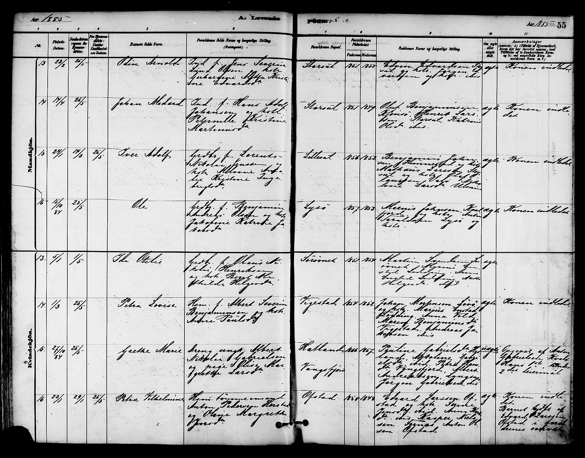 Ministerialprotokoller, klokkerbøker og fødselsregistre - Nord-Trøndelag, AV/SAT-A-1458/786/L0686: Parish register (official) no. 786A02, 1880-1887, p. 55