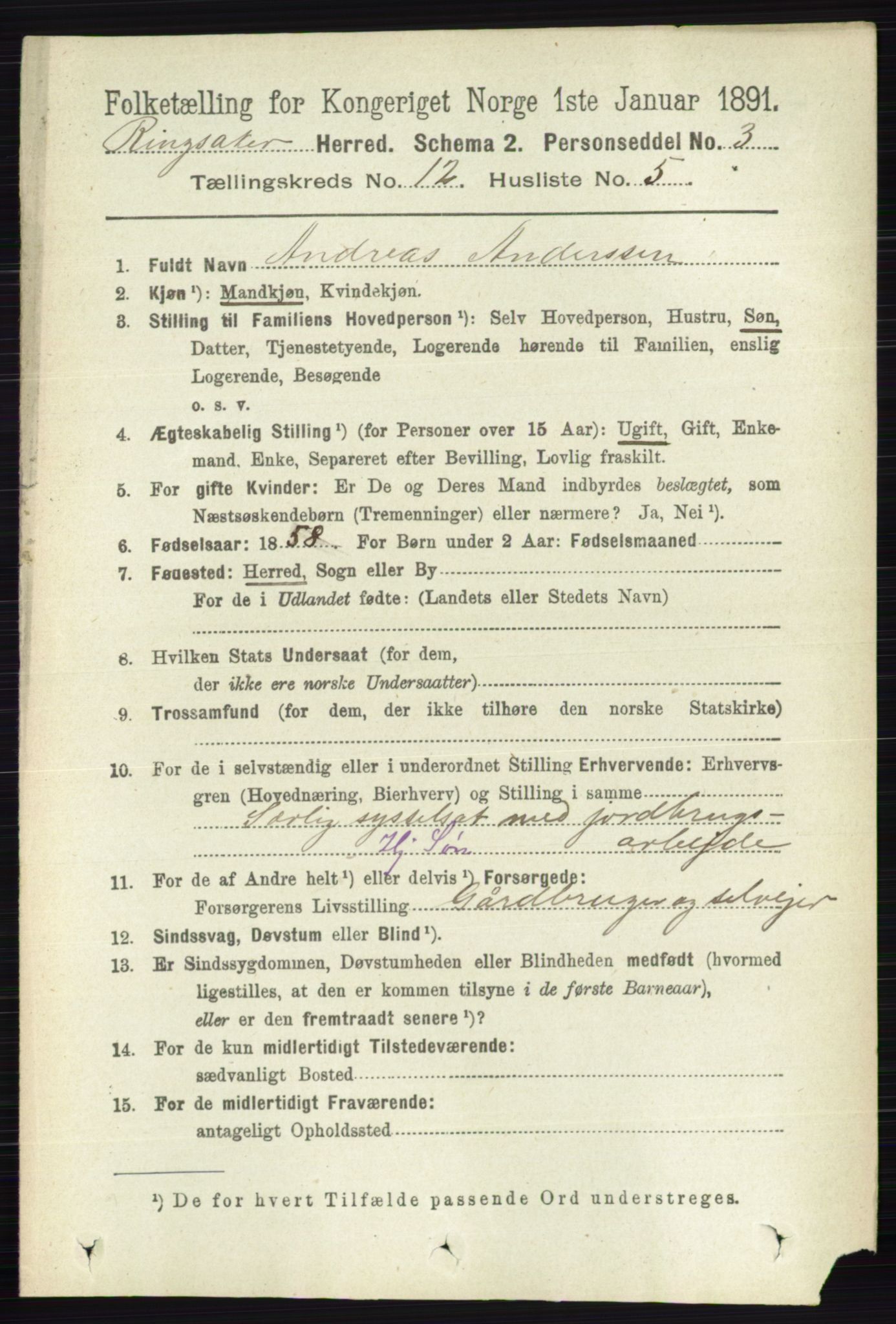 RA, 1891 census for 0412 Ringsaker, 1891, p. 6789