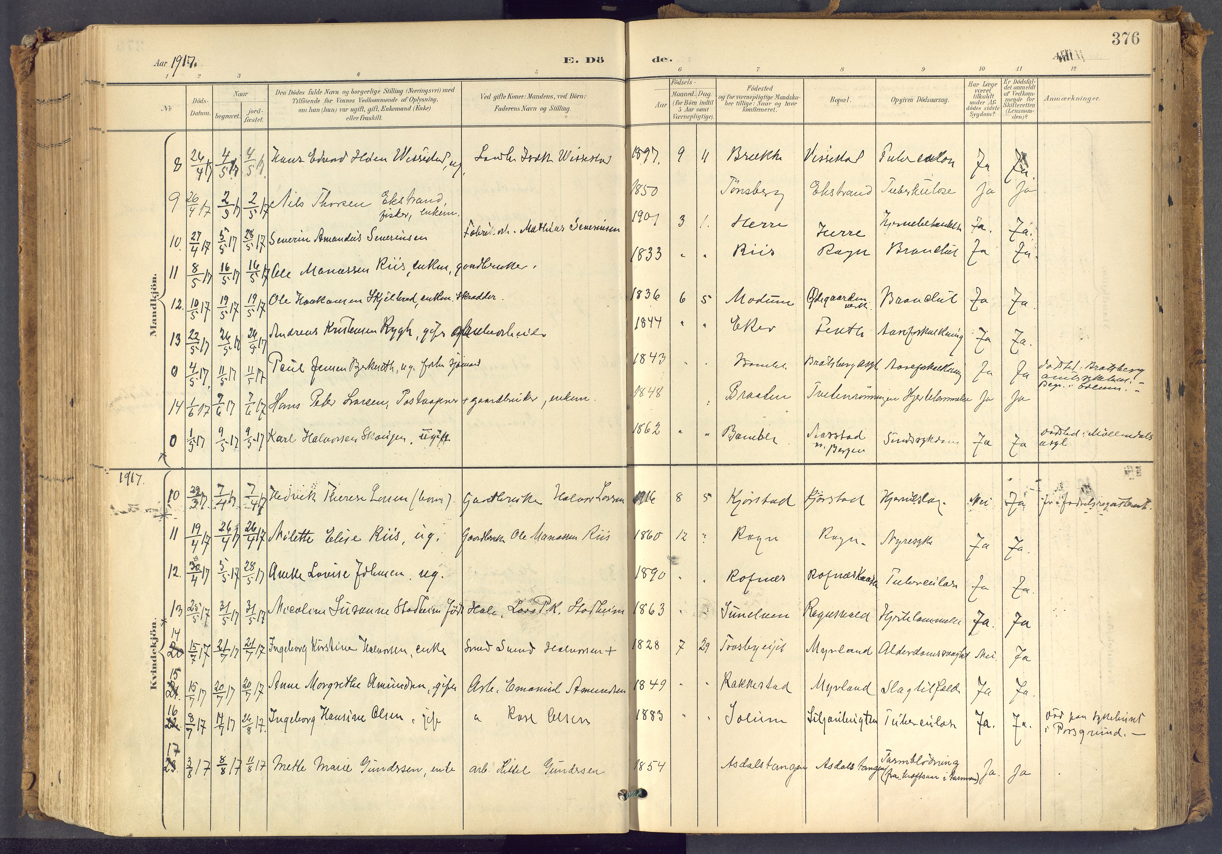 Bamble kirkebøker, SAKO/A-253/F/Fa/L0009: Parish register (official) no. I 9, 1901-1917, p. 376