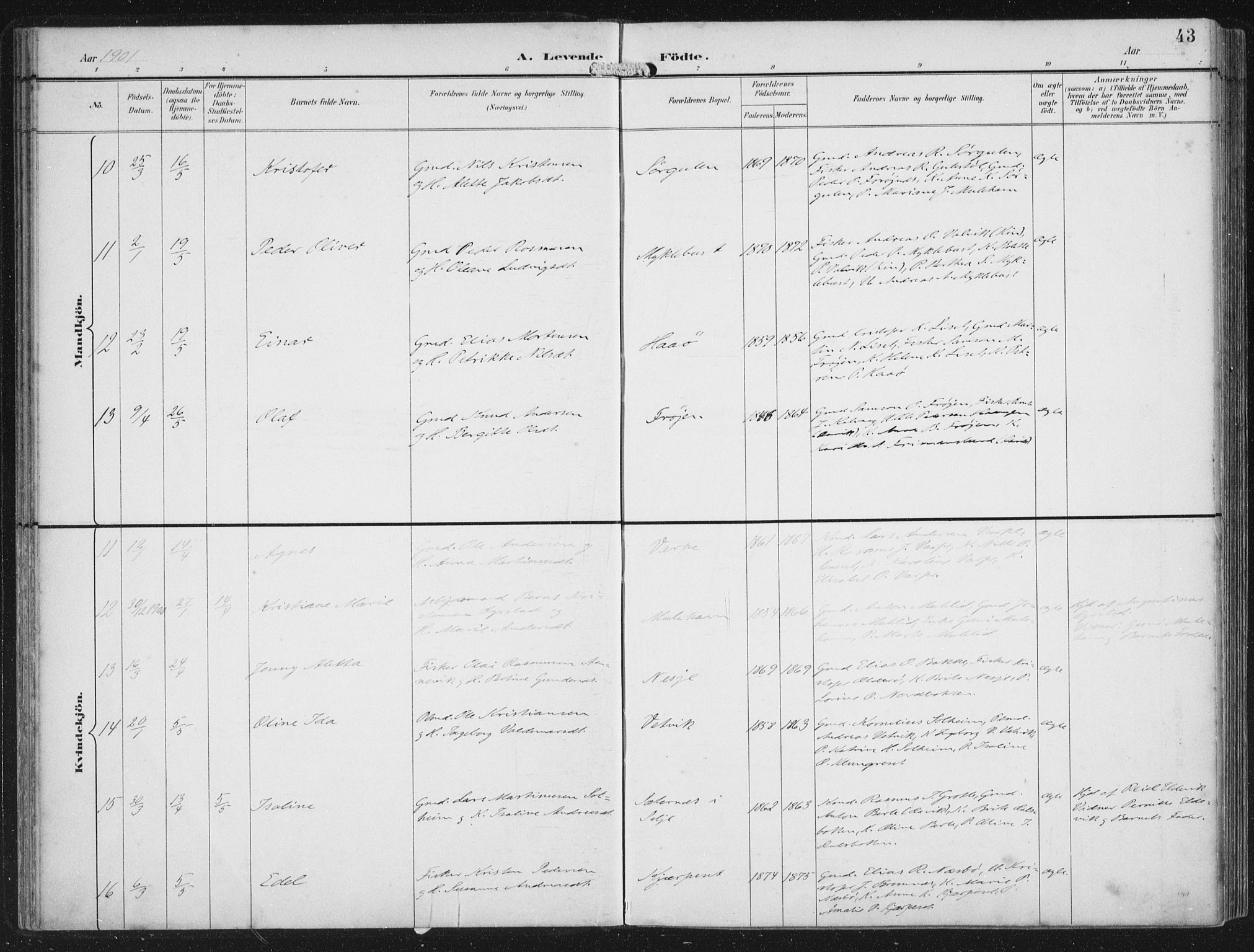 Bremanger sokneprestembete, AV/SAB-A-82201/H/Haa/Haab/L0002: Parish register (official) no. B  2, 1896-1908, p. 43