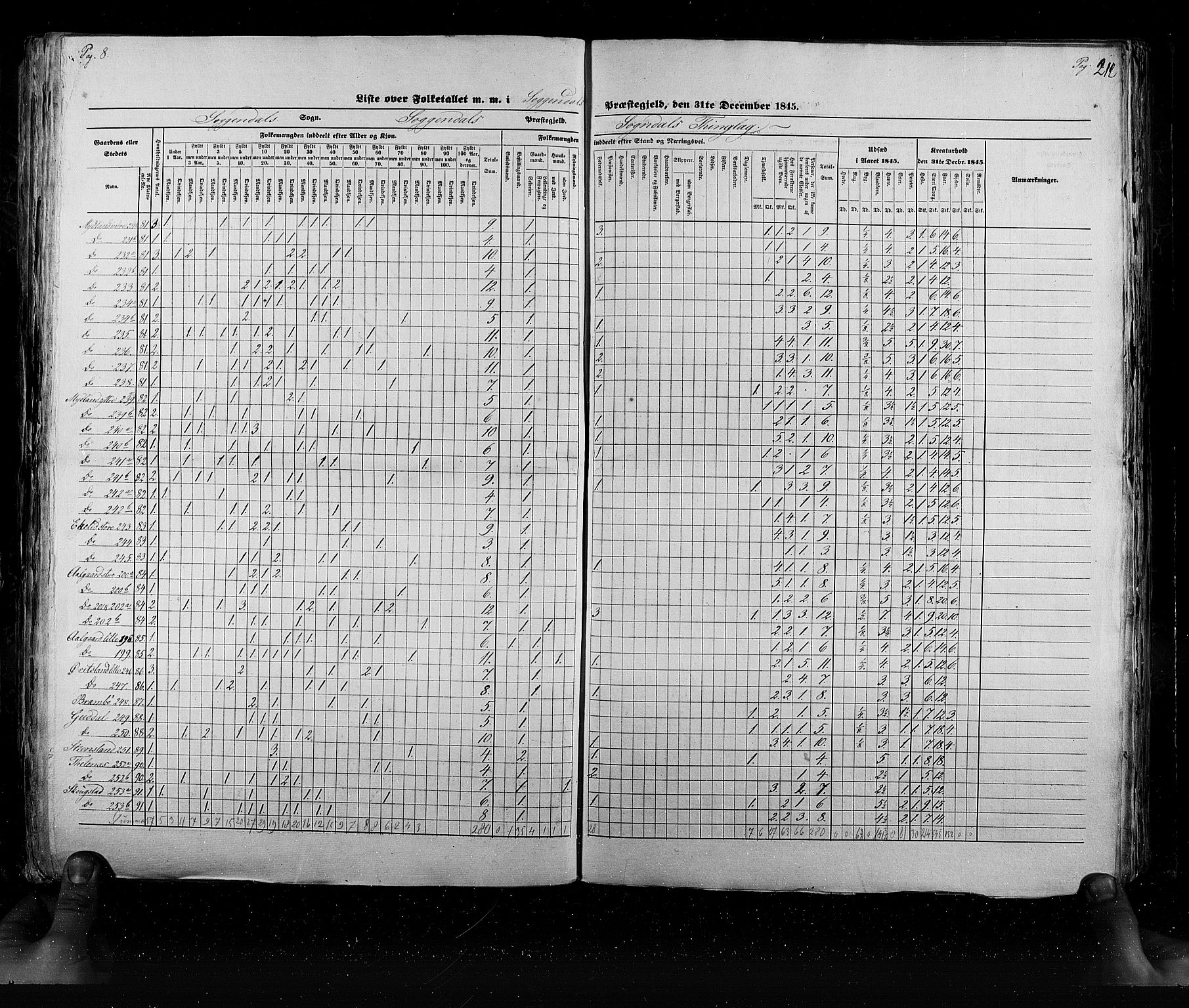 RA, Census 1845, vol. 6: Lister og Mandal amt og Stavanger amt, 1845, p. 212