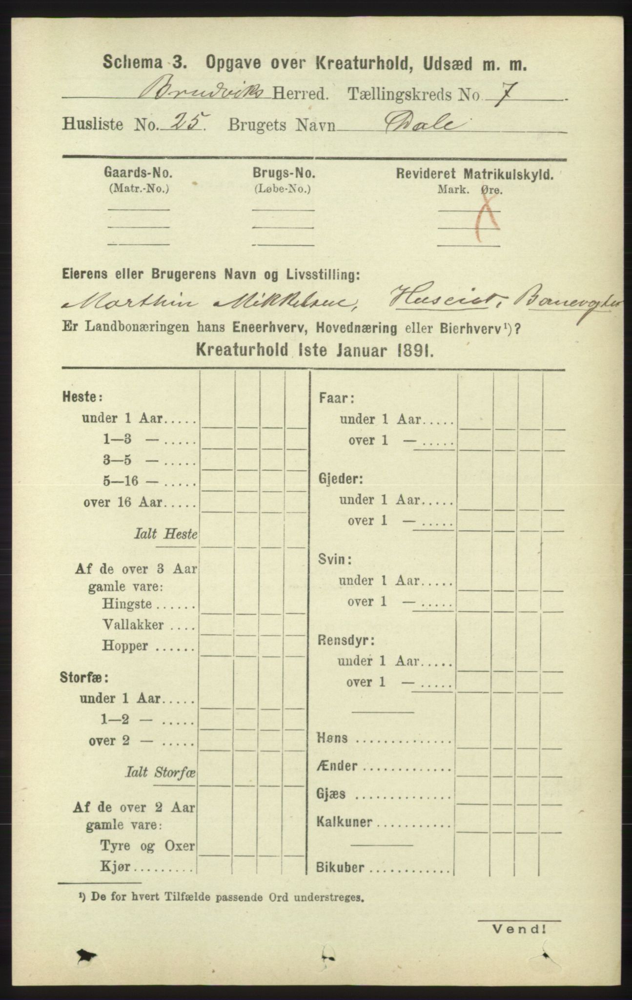 RA, 1891 census for 1251 Bruvik, 1891, p. 4723