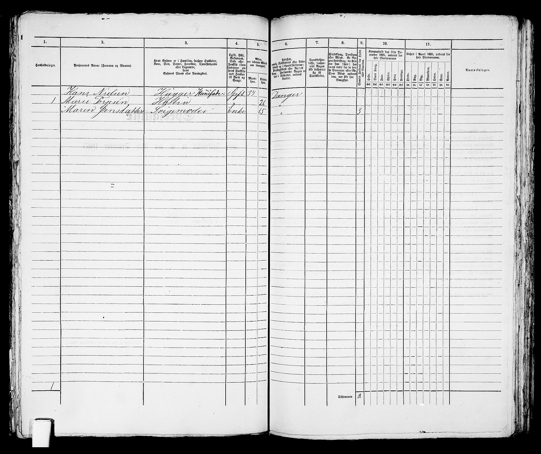 RA, 1865 census for Brevik, 1865, p. 229