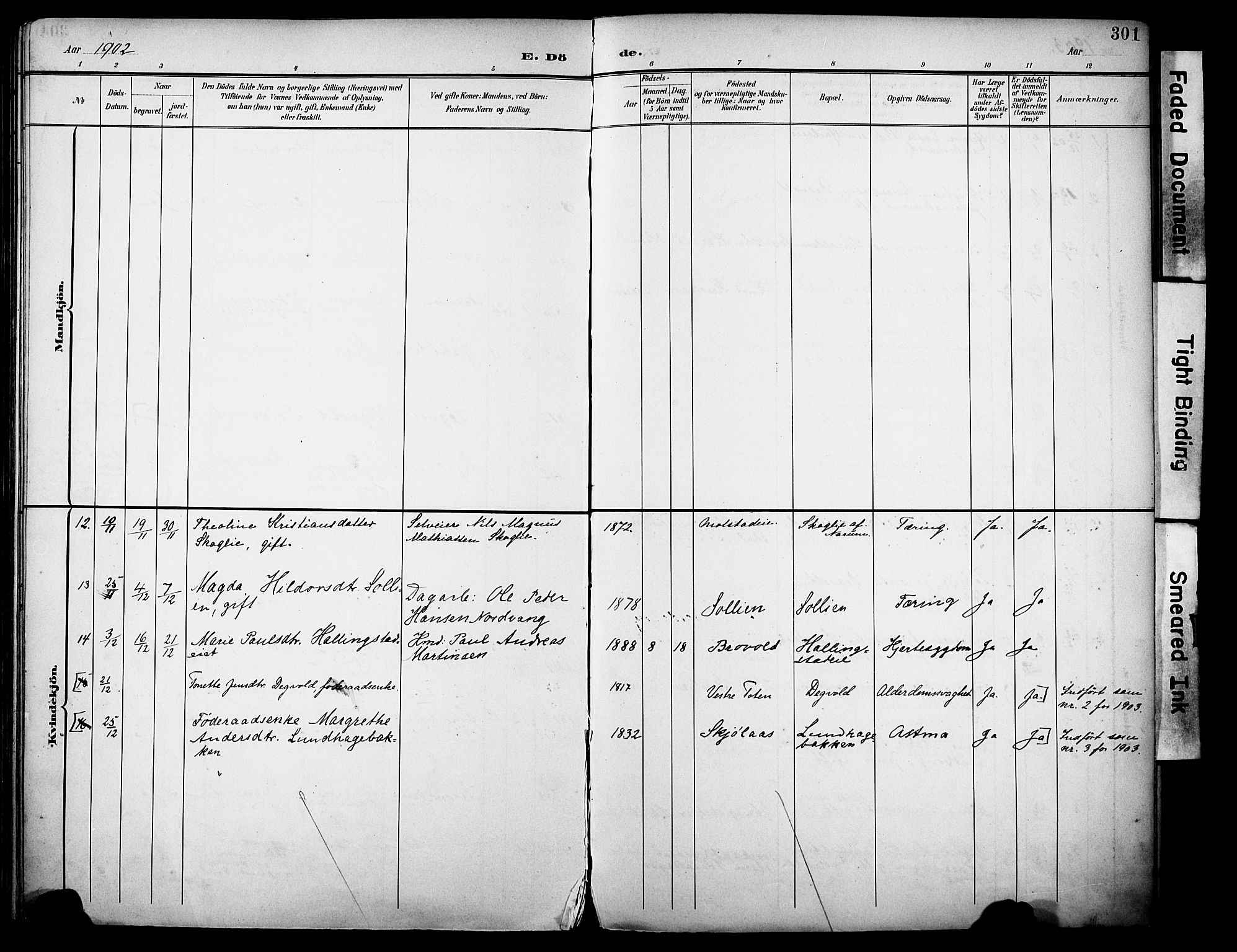 Vestre Toten prestekontor, SAH/PREST-108/H/Ha/Haa/L0013: Parish register (official) no. 13, 1895-1911, p. 301