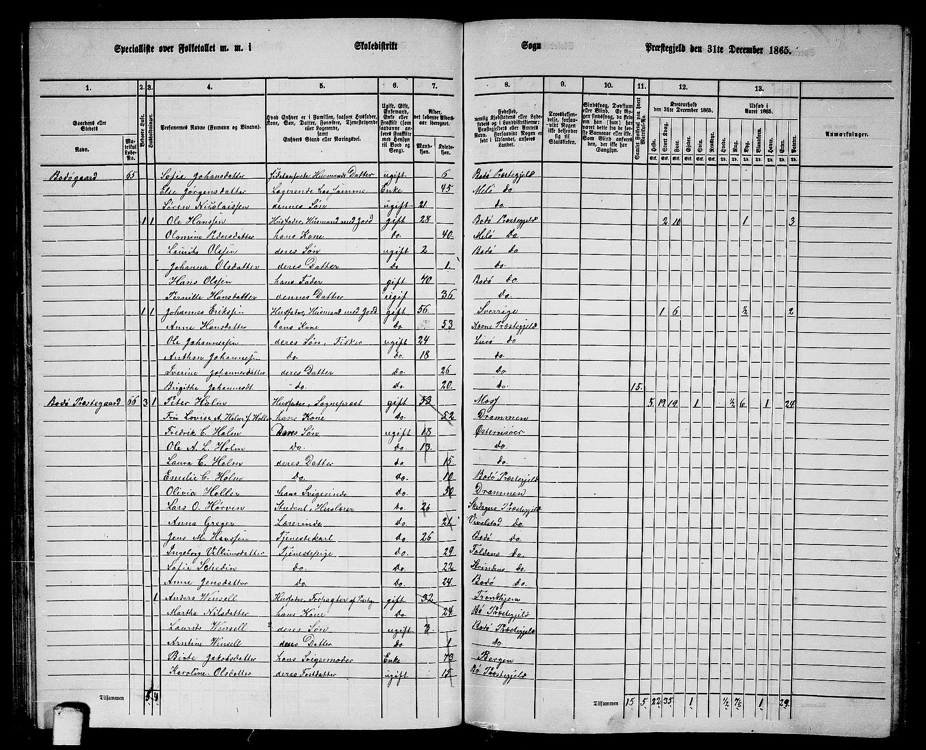 RA, 1865 census for Bodø/Bodø, 1865, p. 41