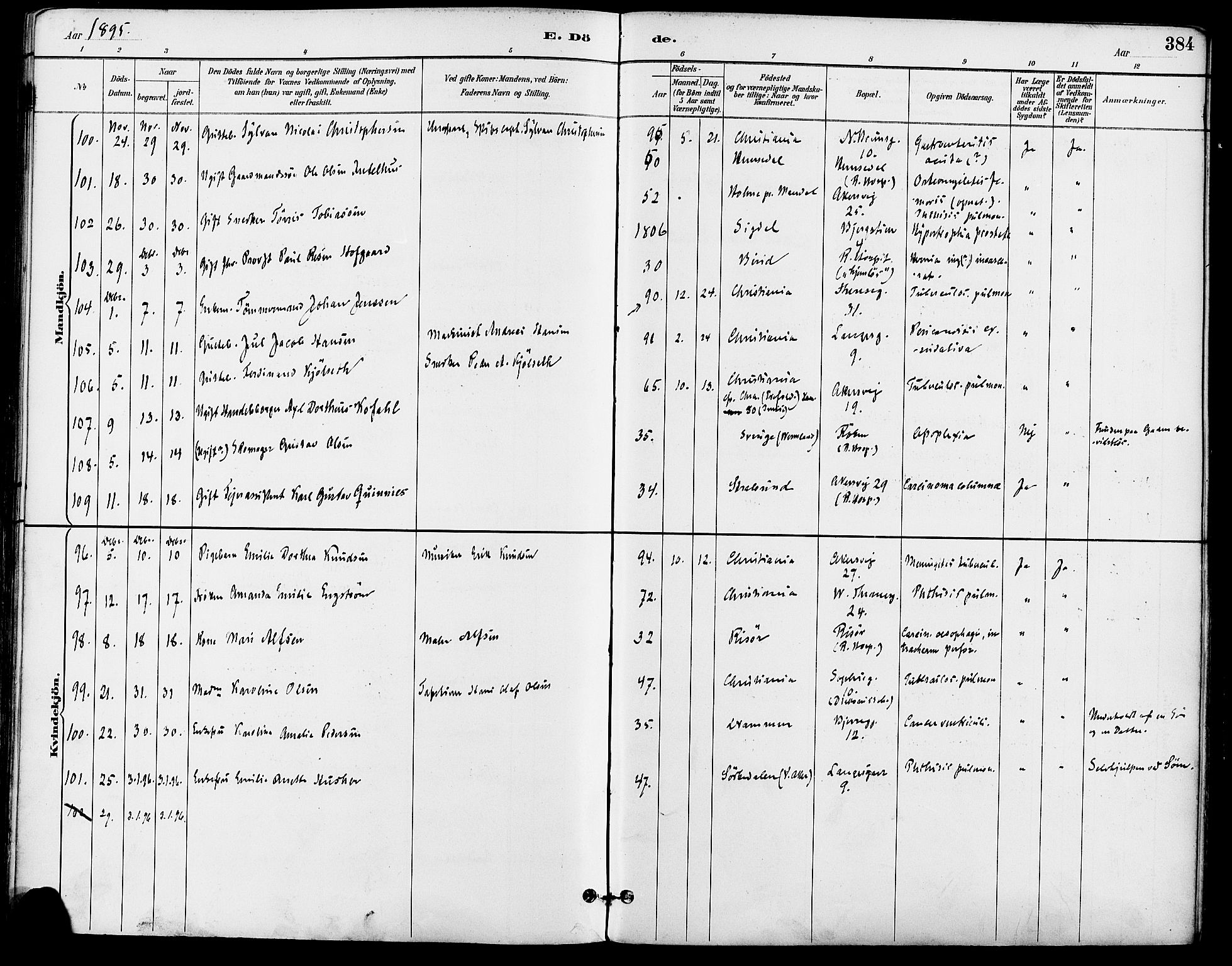 Gamle Aker prestekontor Kirkebøker, AV/SAO-A-10617a/F/L0008: Parish register (official) no. 8, 1887-1896, p. 384