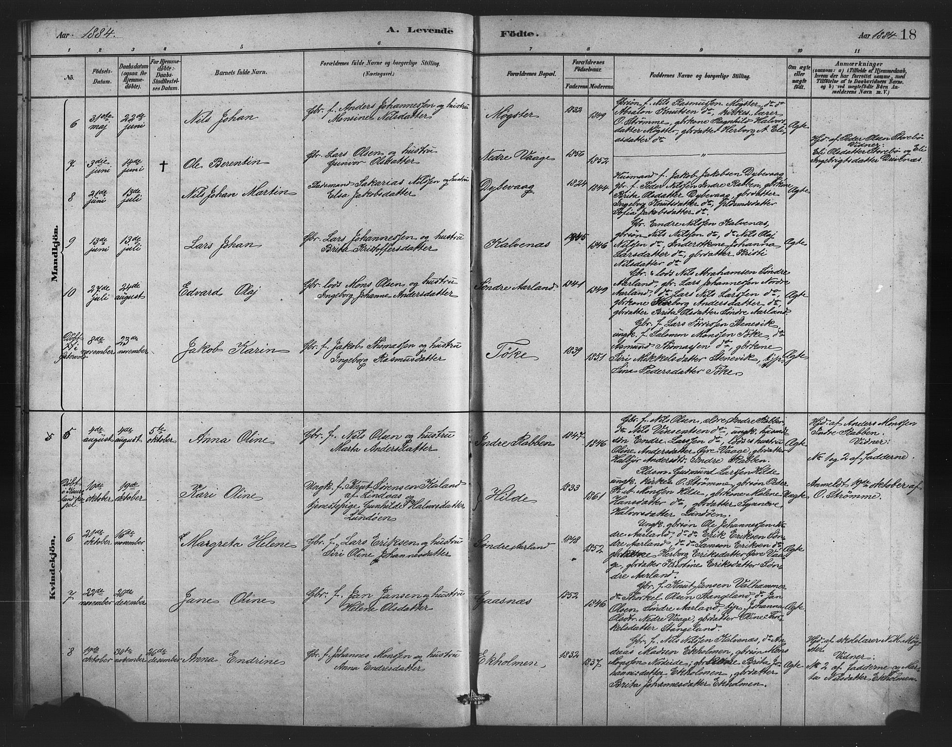 Austevoll Sokneprestembete, SAB/A-74201/H/Hab: Parish register (copy) no. B 3, 1879-1888, p. 18