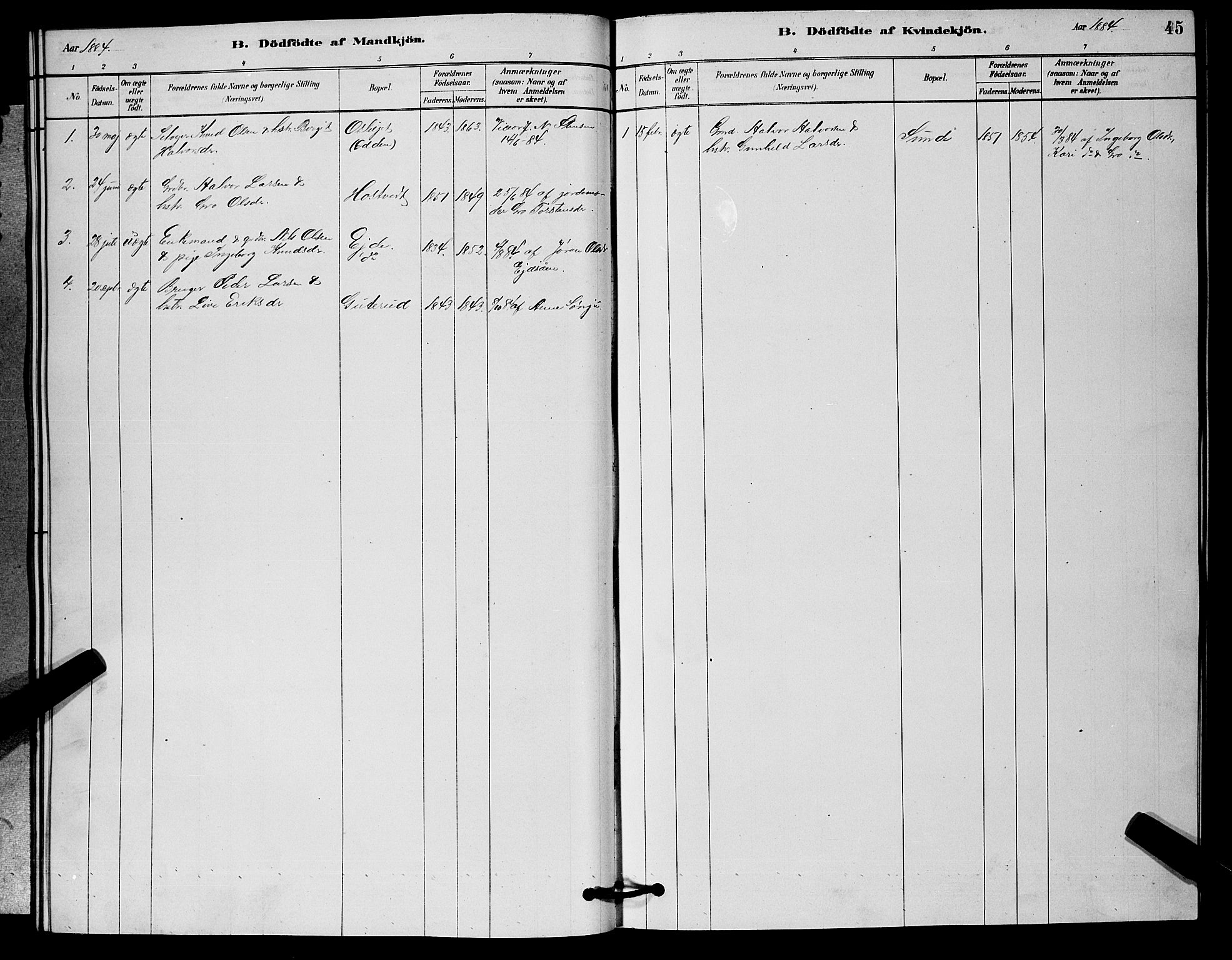 Nore kirkebøker, AV/SAKO-A-238/G/Ga/L0002: Parish register (copy) no. I 2, 1878-1885, p. 45