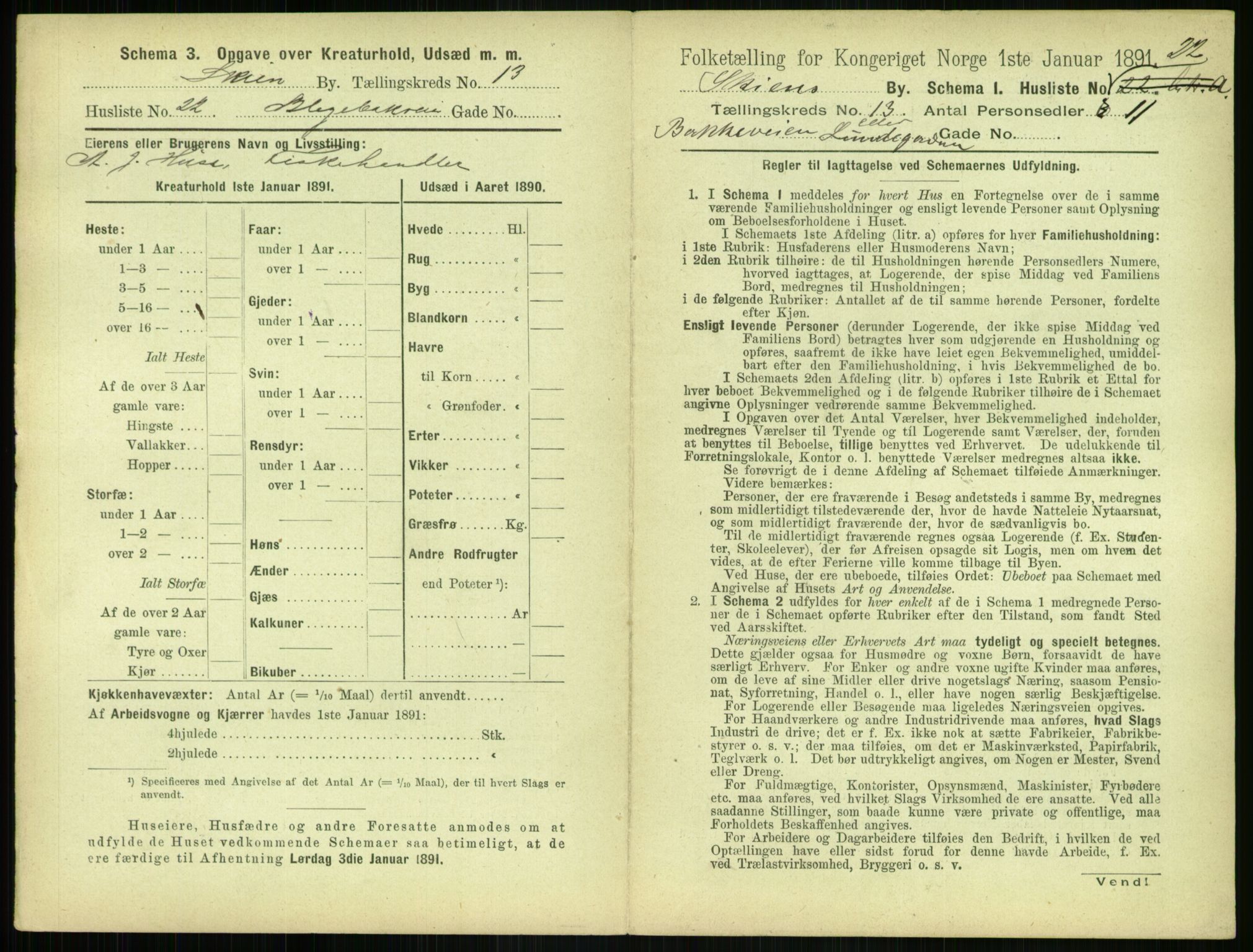 RA, 1891 census for 0806 Skien, 1891, p. 538