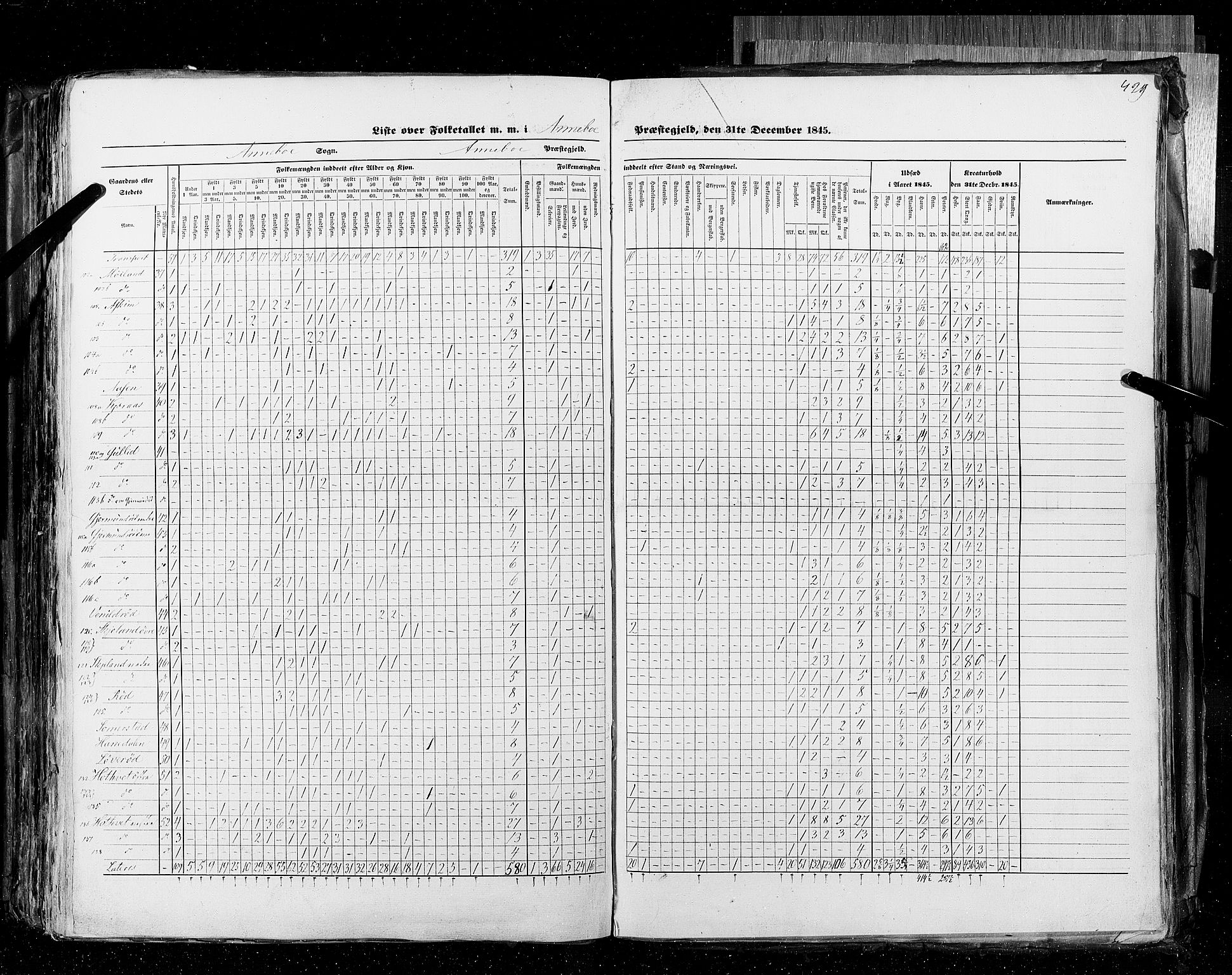 RA, Census 1845, vol. 4: Buskerud amt og Jarlsberg og Larvik amt, 1845, p. 429